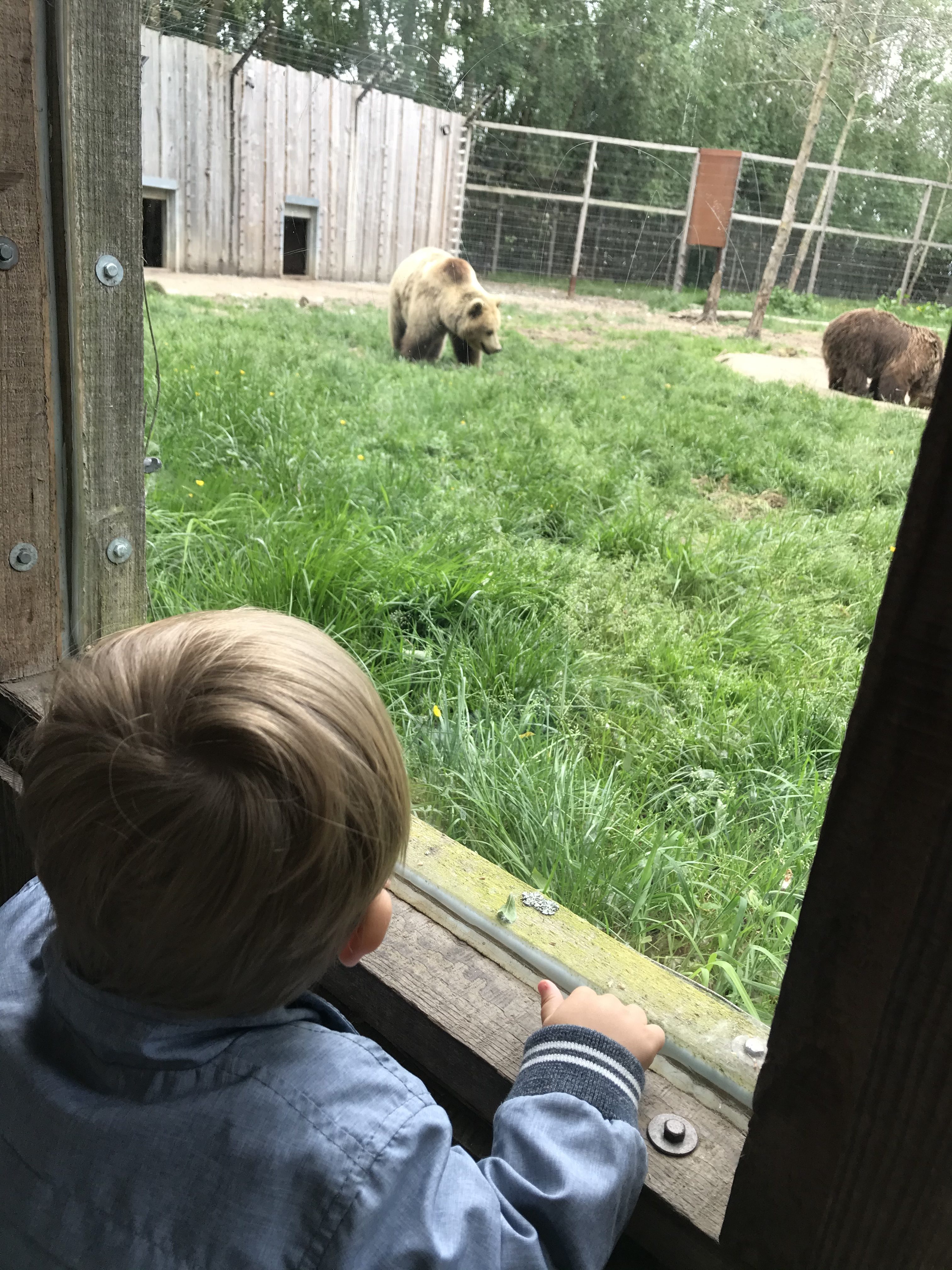 Pretparken voor peuters met dieren in West-Vlaanderen en Oost-Vlaanderen