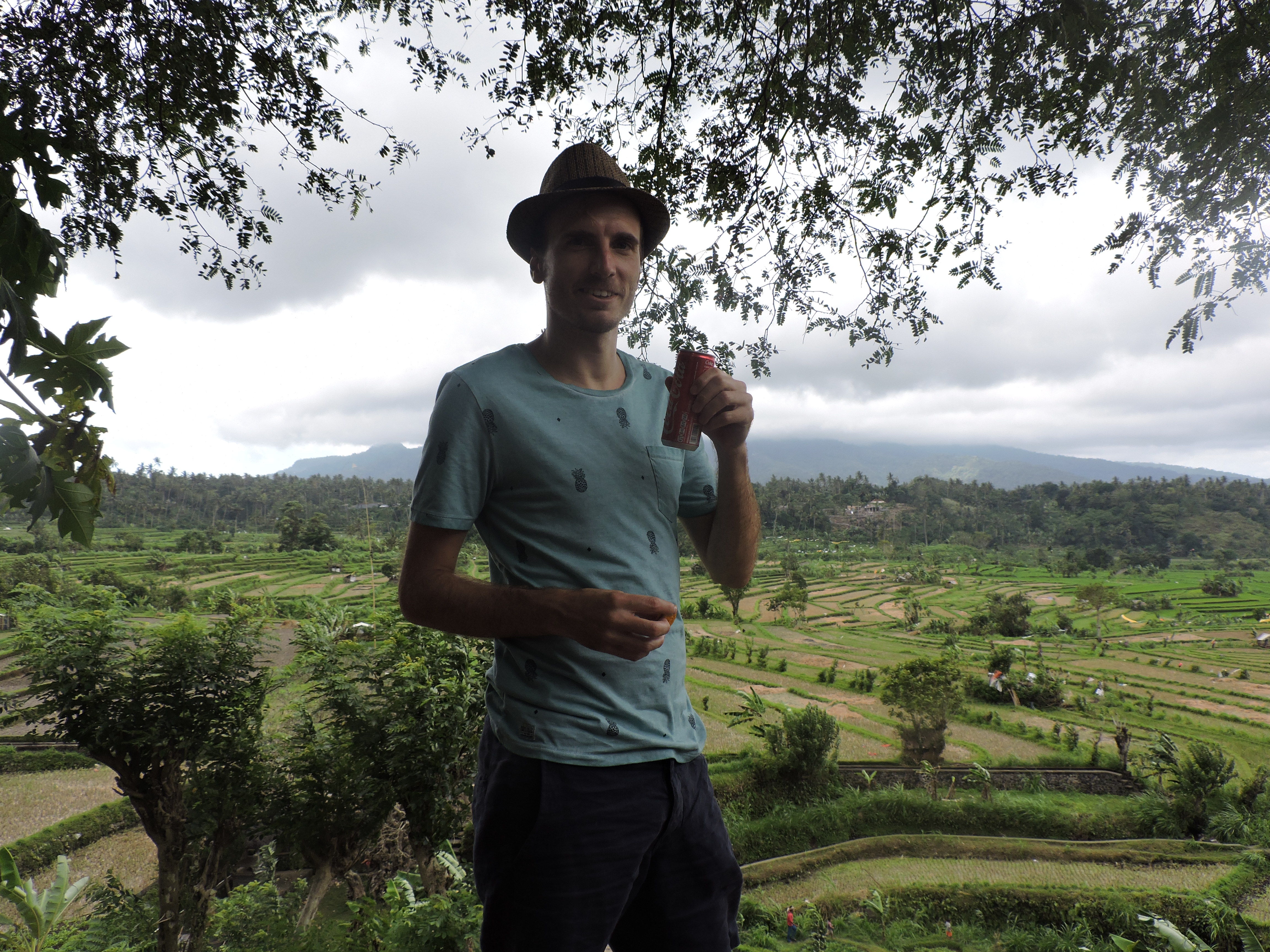 Landschap Bali groen