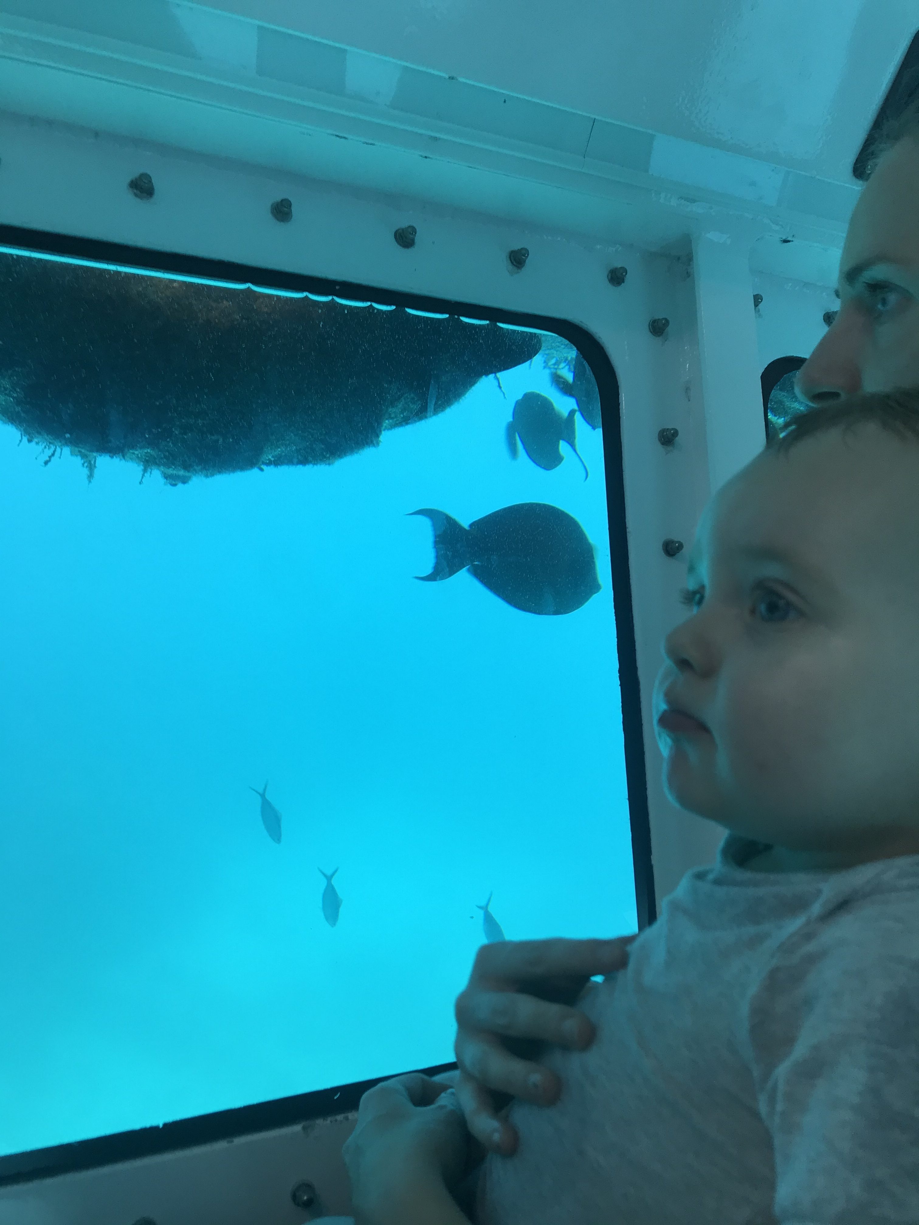 Australië rondreis Great Barrier Reef Queensland