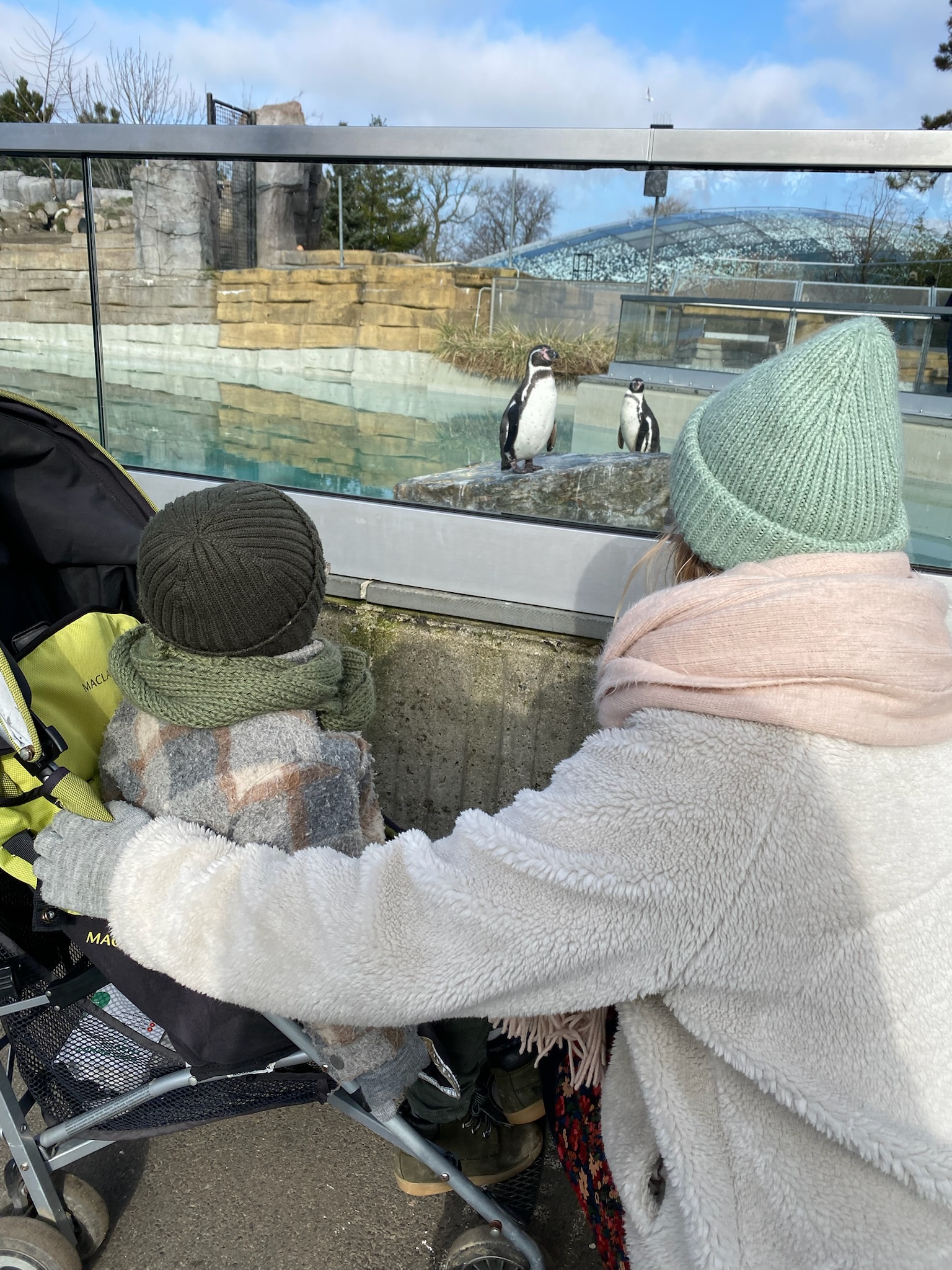 Dierentuin van Kopenhagen kindvriendelijke activiteit