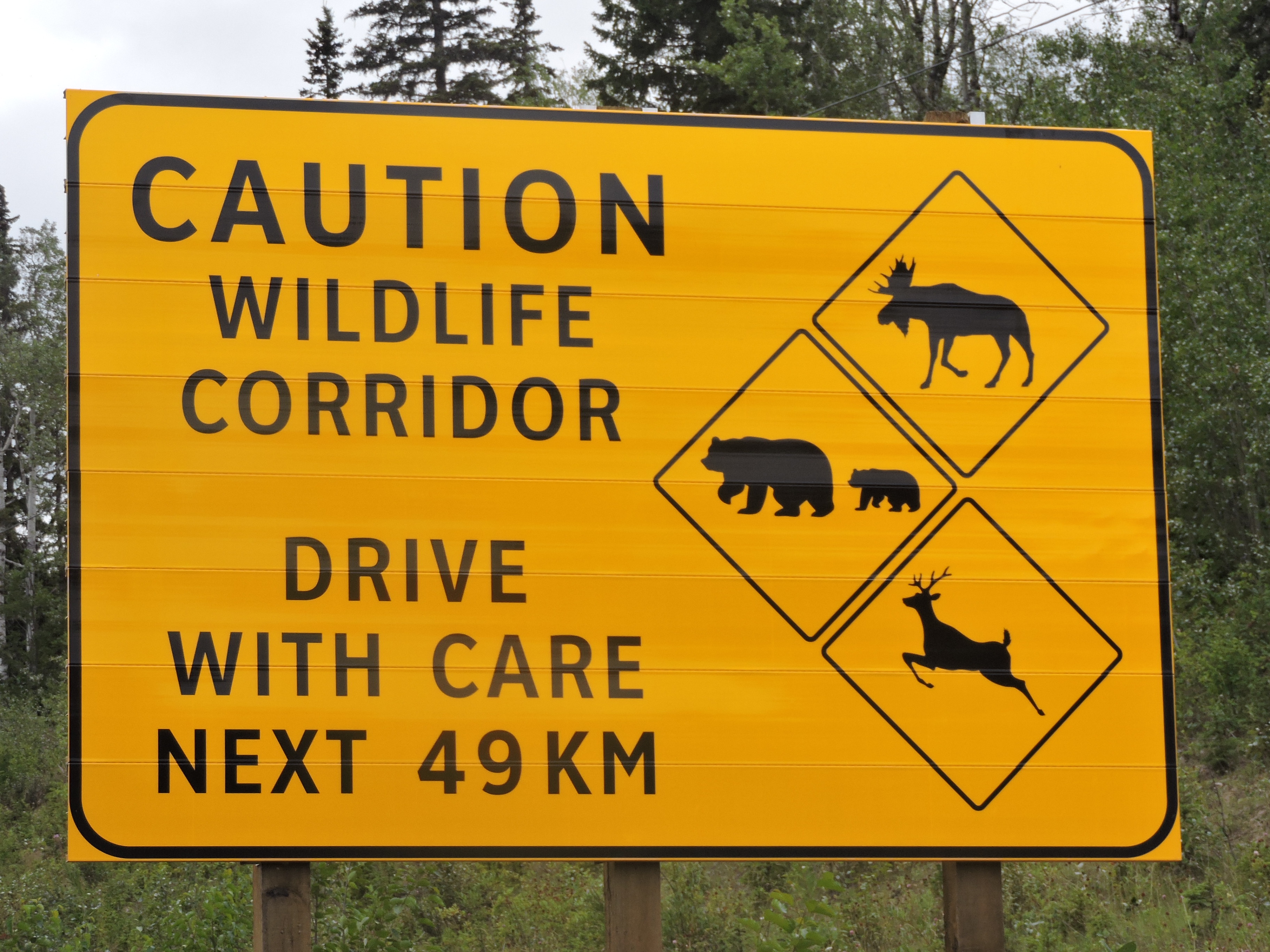 Canada rondreis langs Vancouver, Banff en Jasper Athabasca blogpost