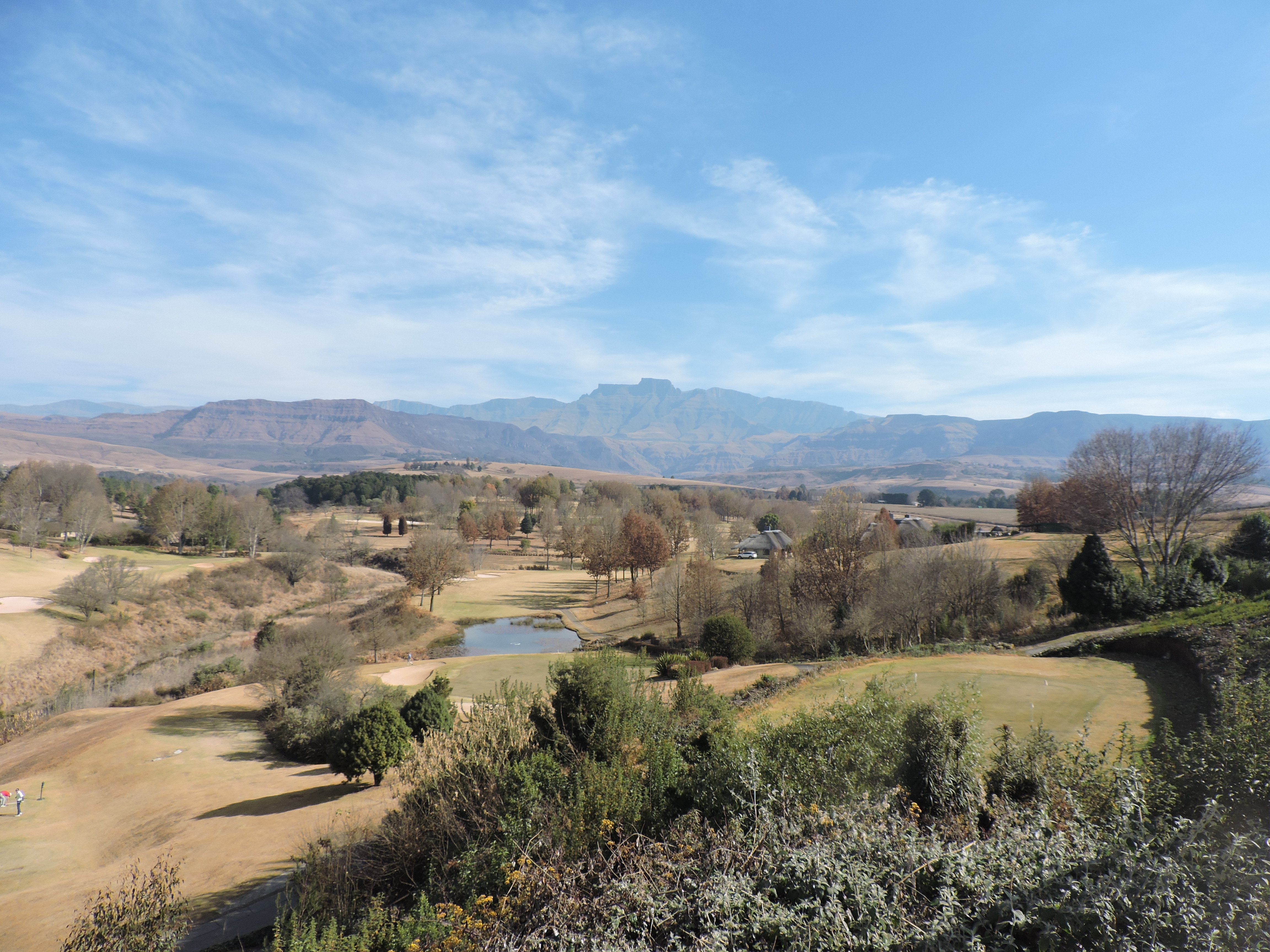 Zuid-Afrika blogpost