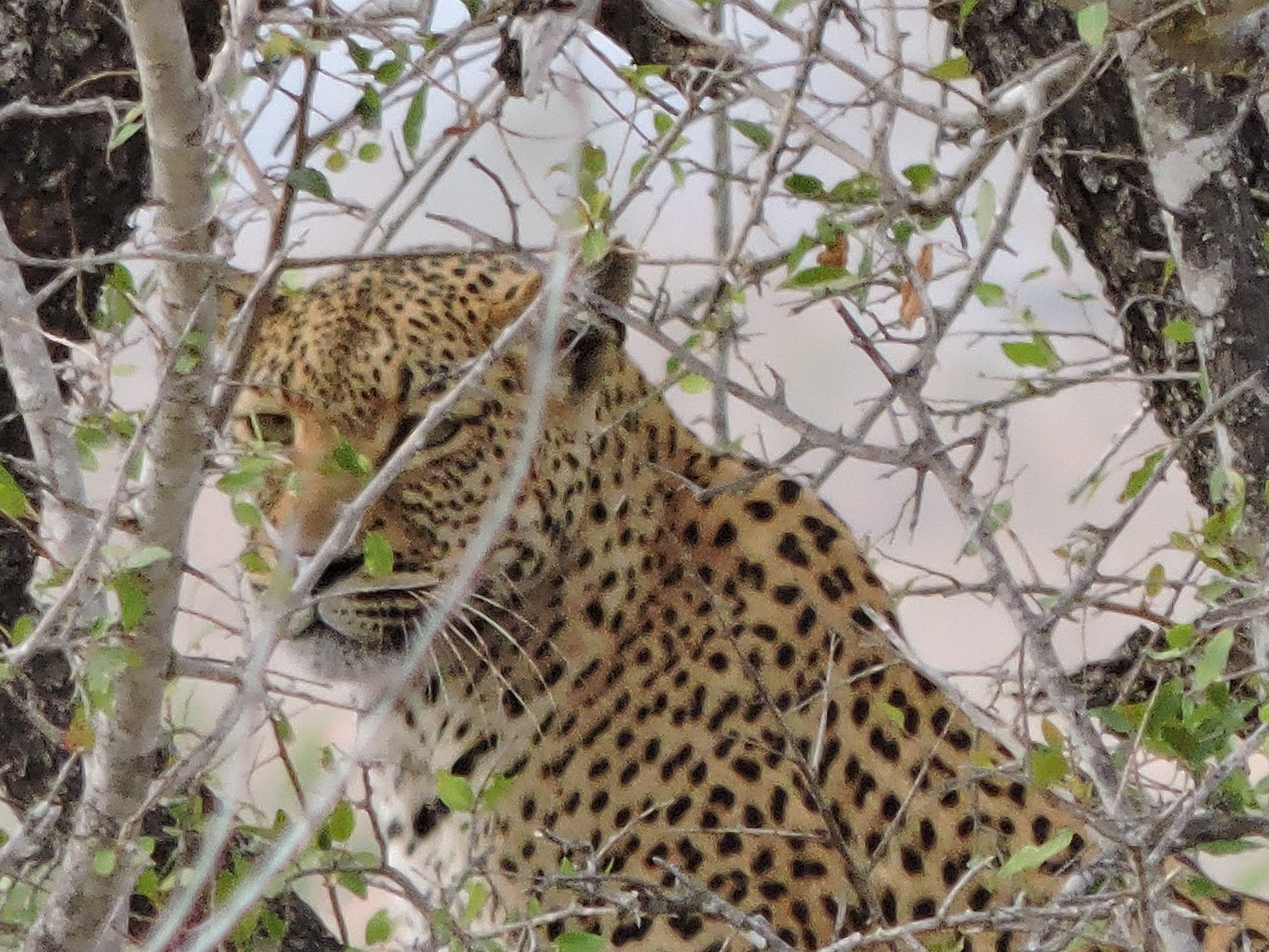 Zuid-Afrika St. Lucia blogpost