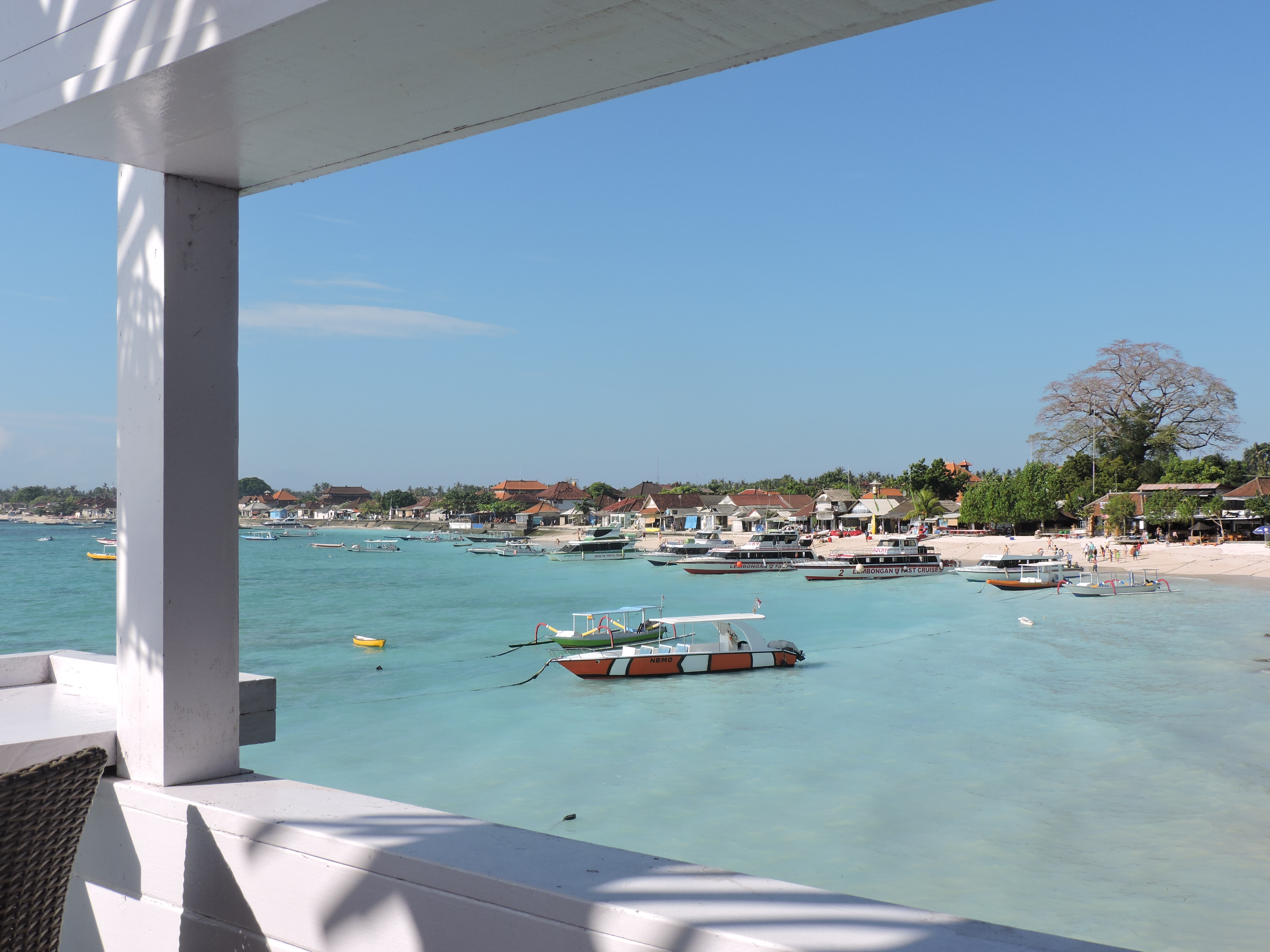 Snorkelen Bali manta's