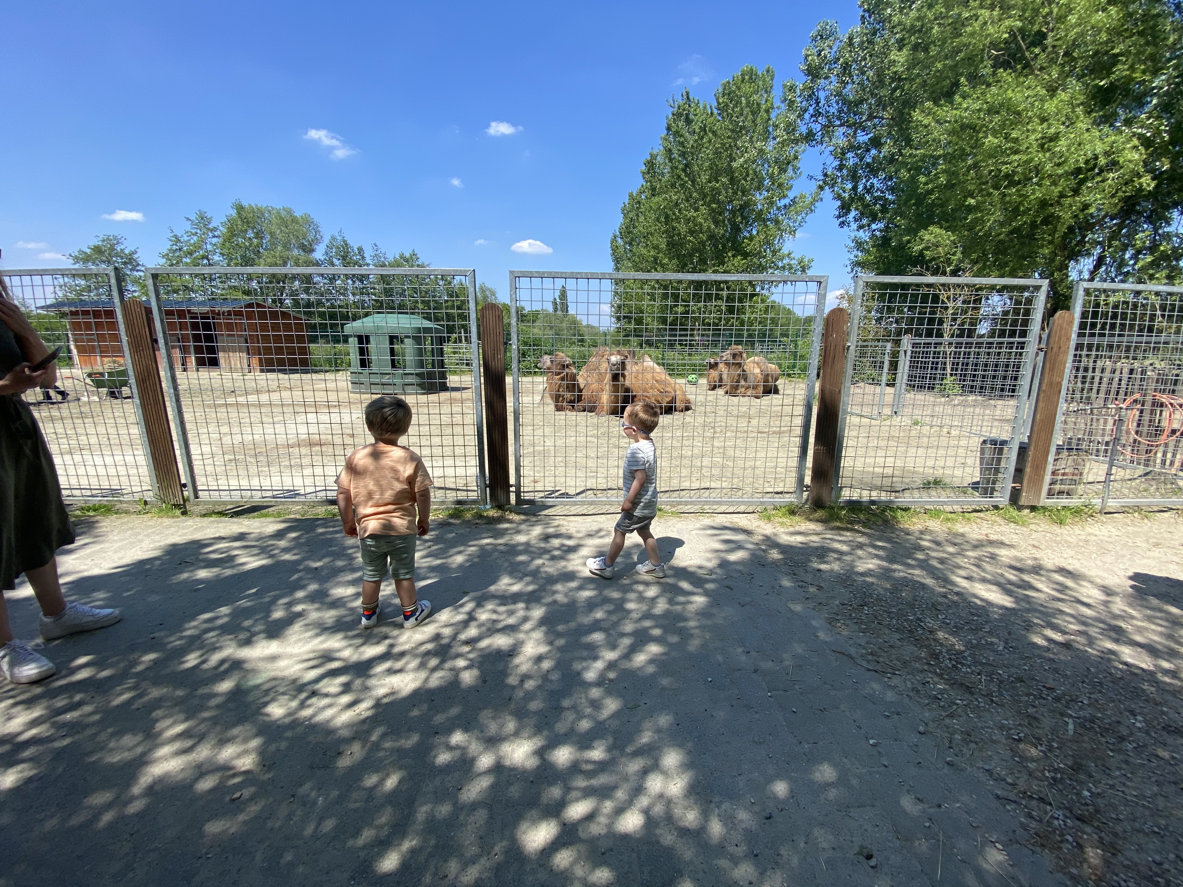 Pretparken voor peuters met dieren in West-Vlaanderen en Oost-Vlaanderen
