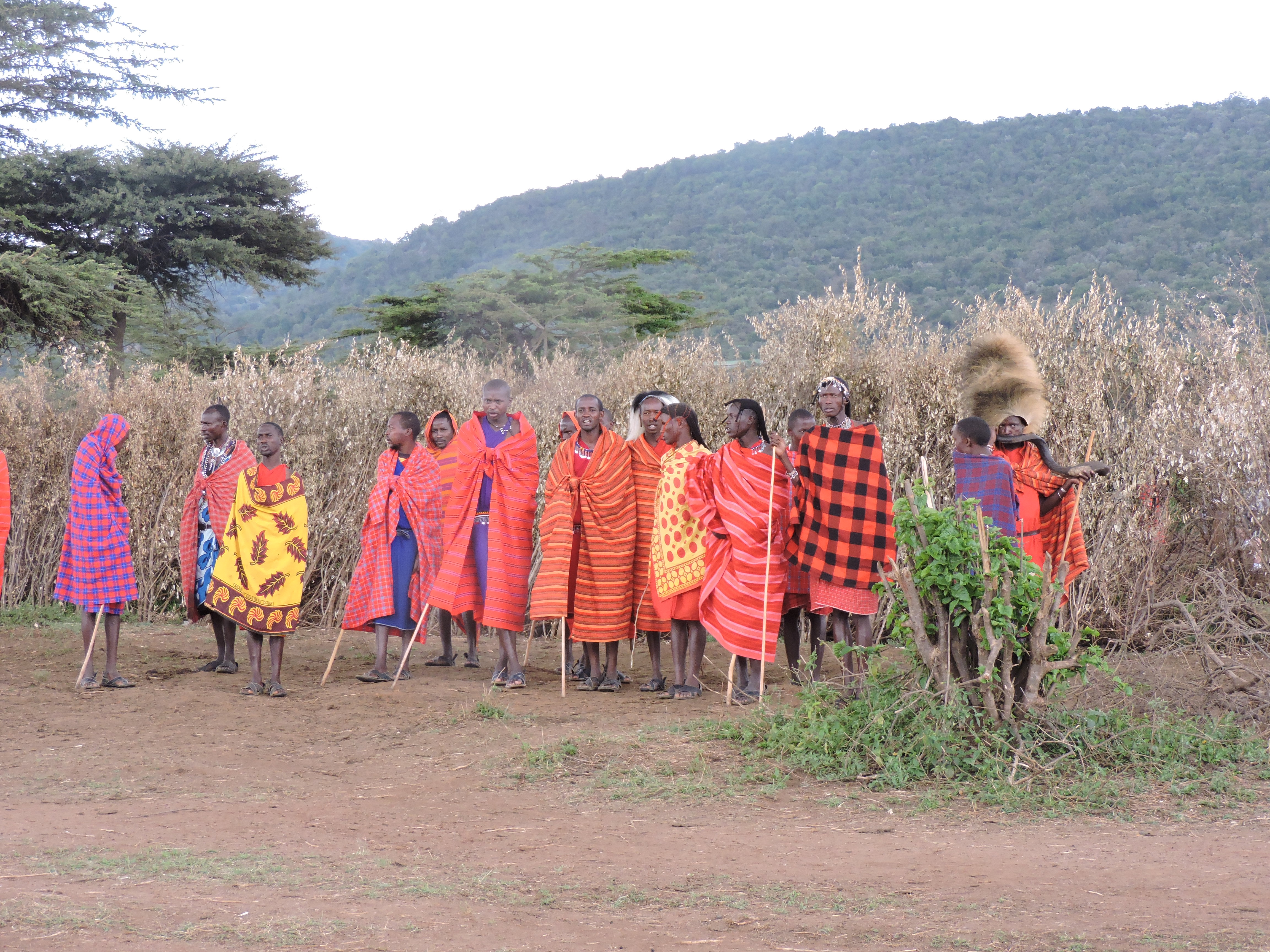 Kenia rondreis safari