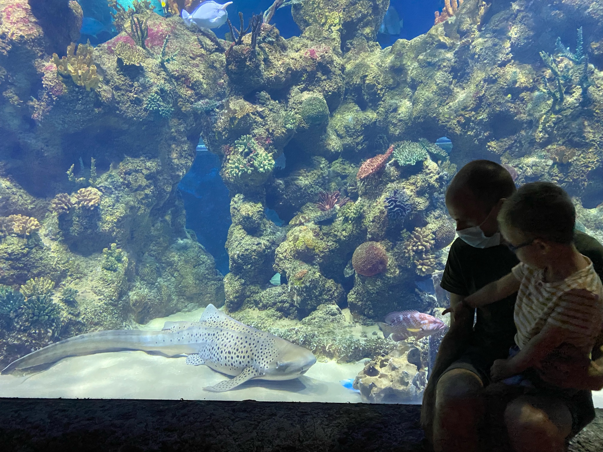 Nationaal aquarium Malta