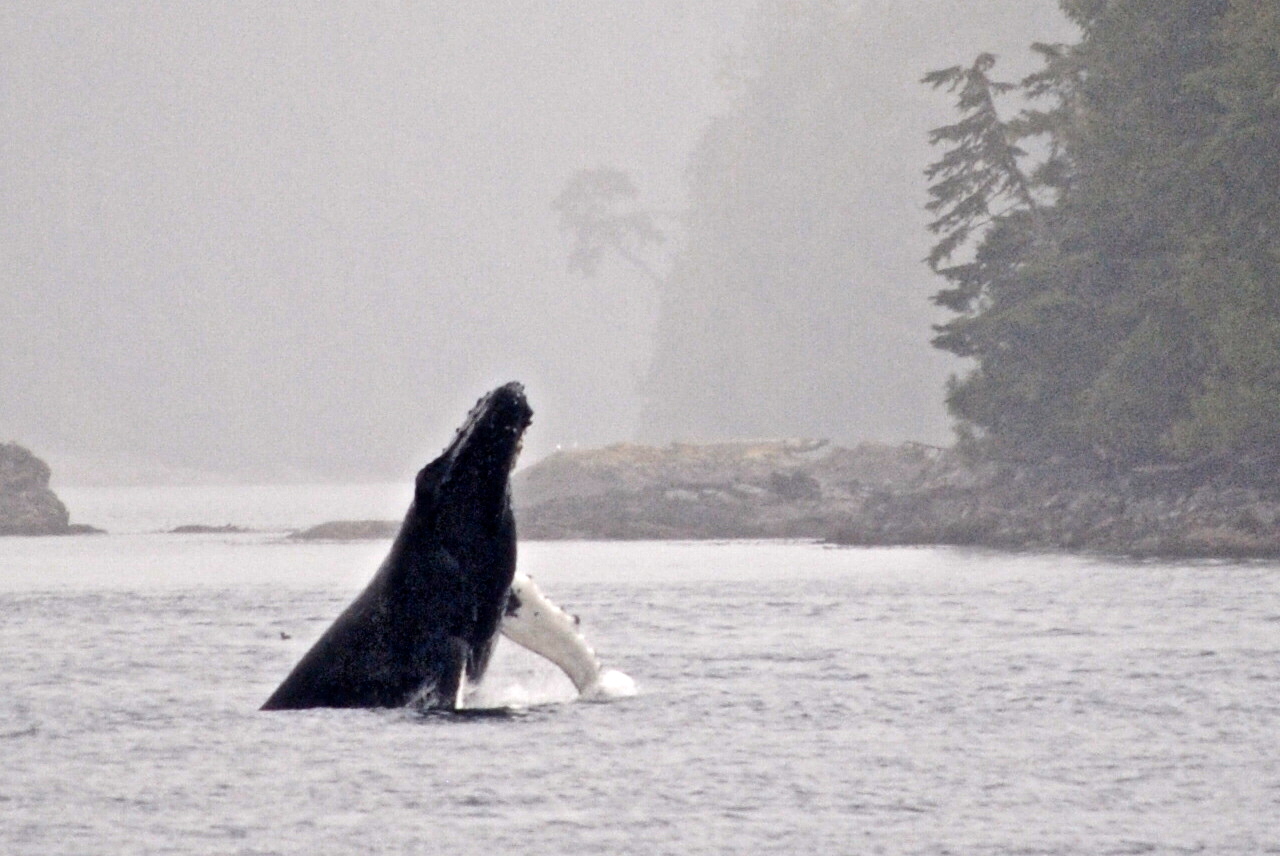 Canada rondreis langs Vancouver, Banff en Jasper blogpost