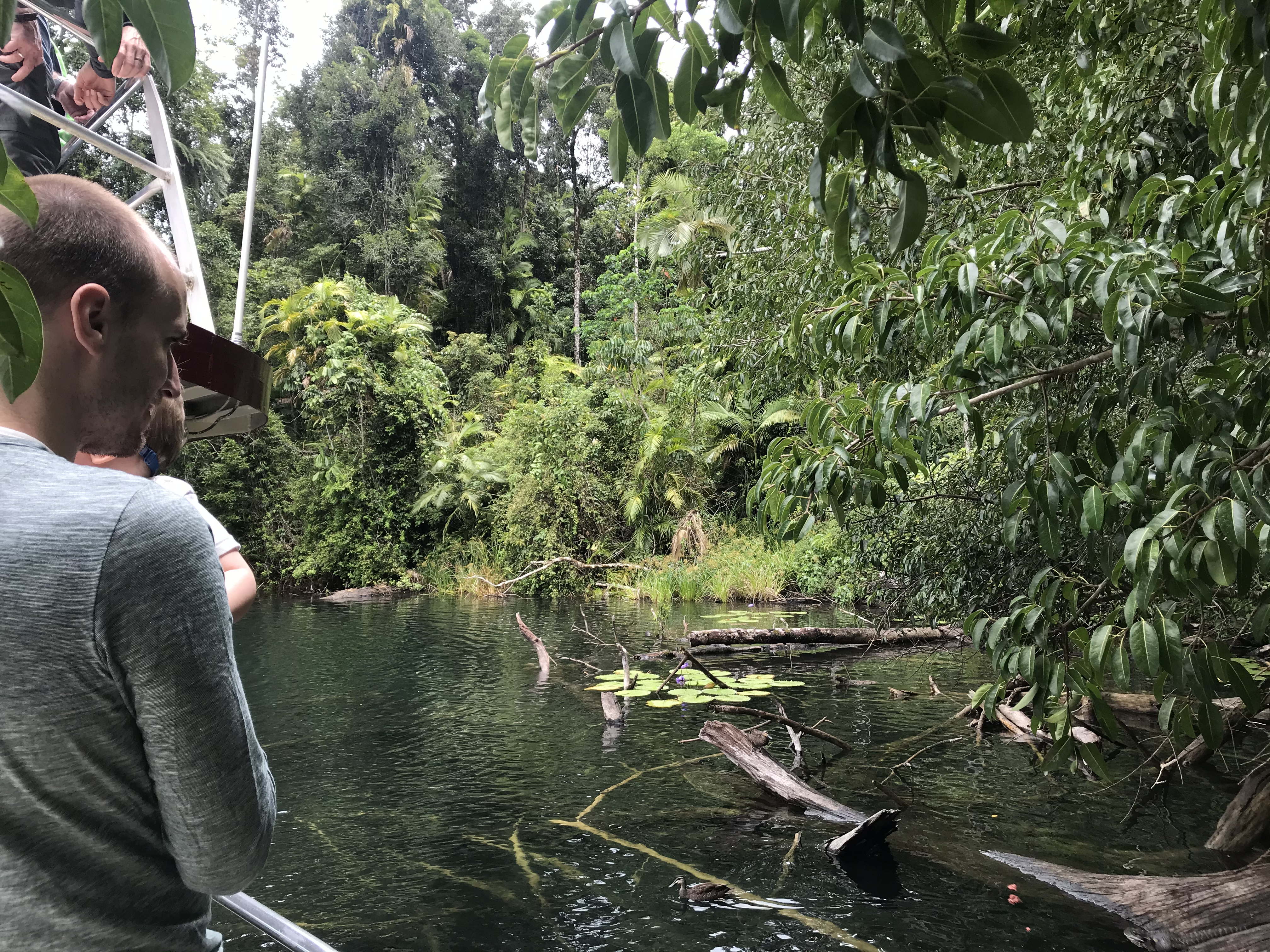 Rondreis Australië baby Queensland