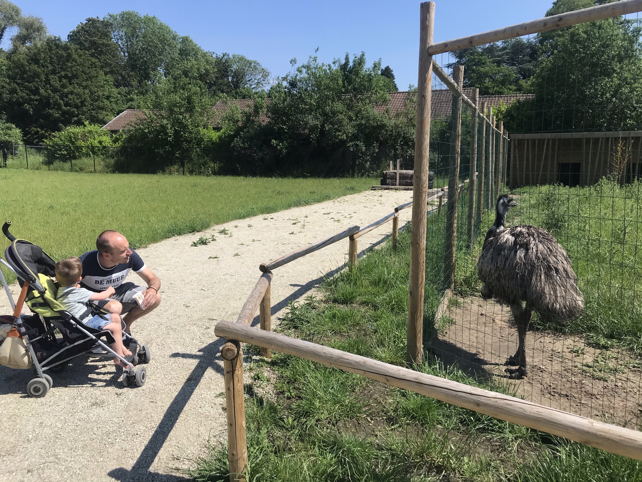 Pretparken peuters Jungle City Doornik