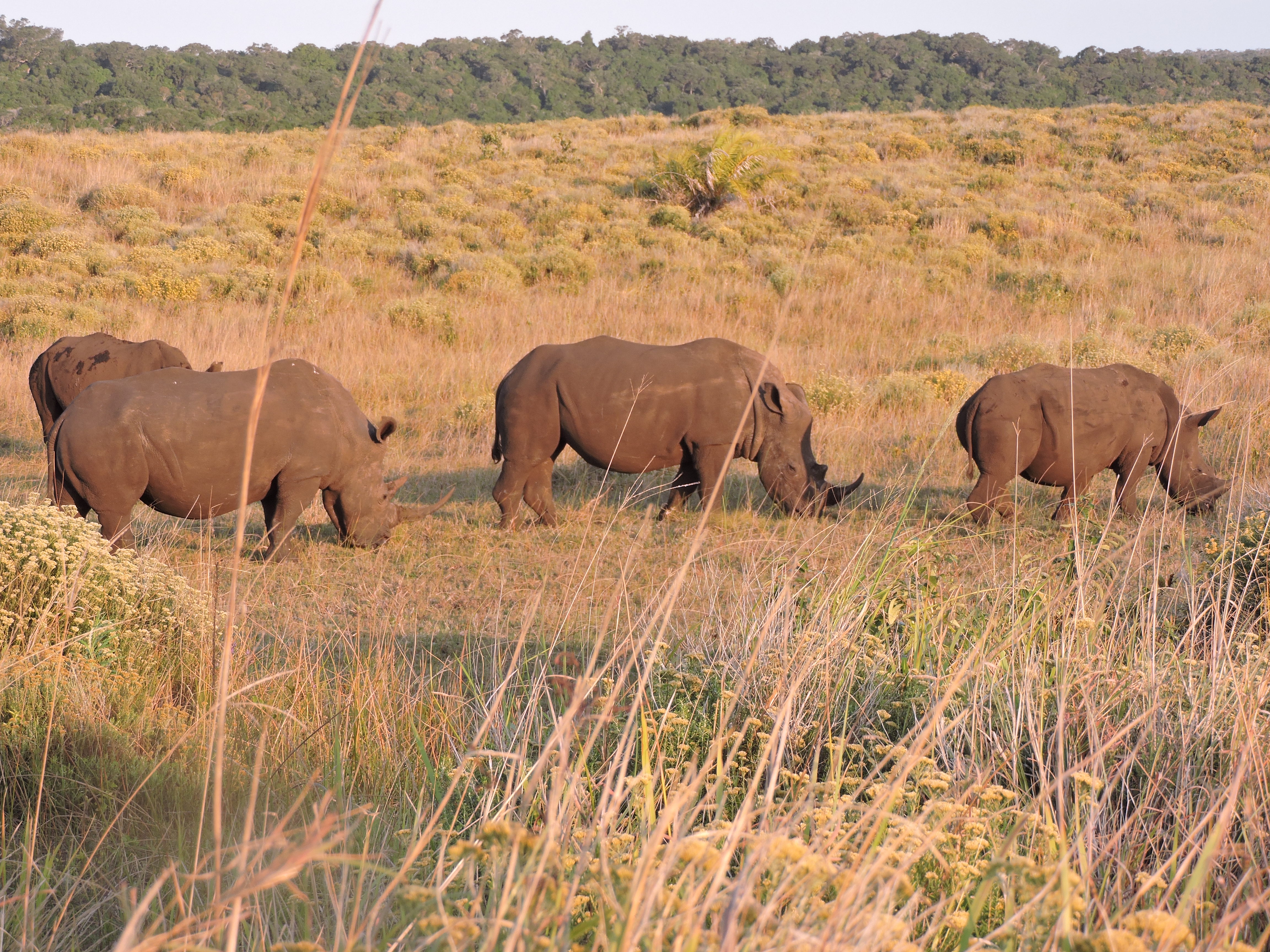 Zuid-Afrika blogpost