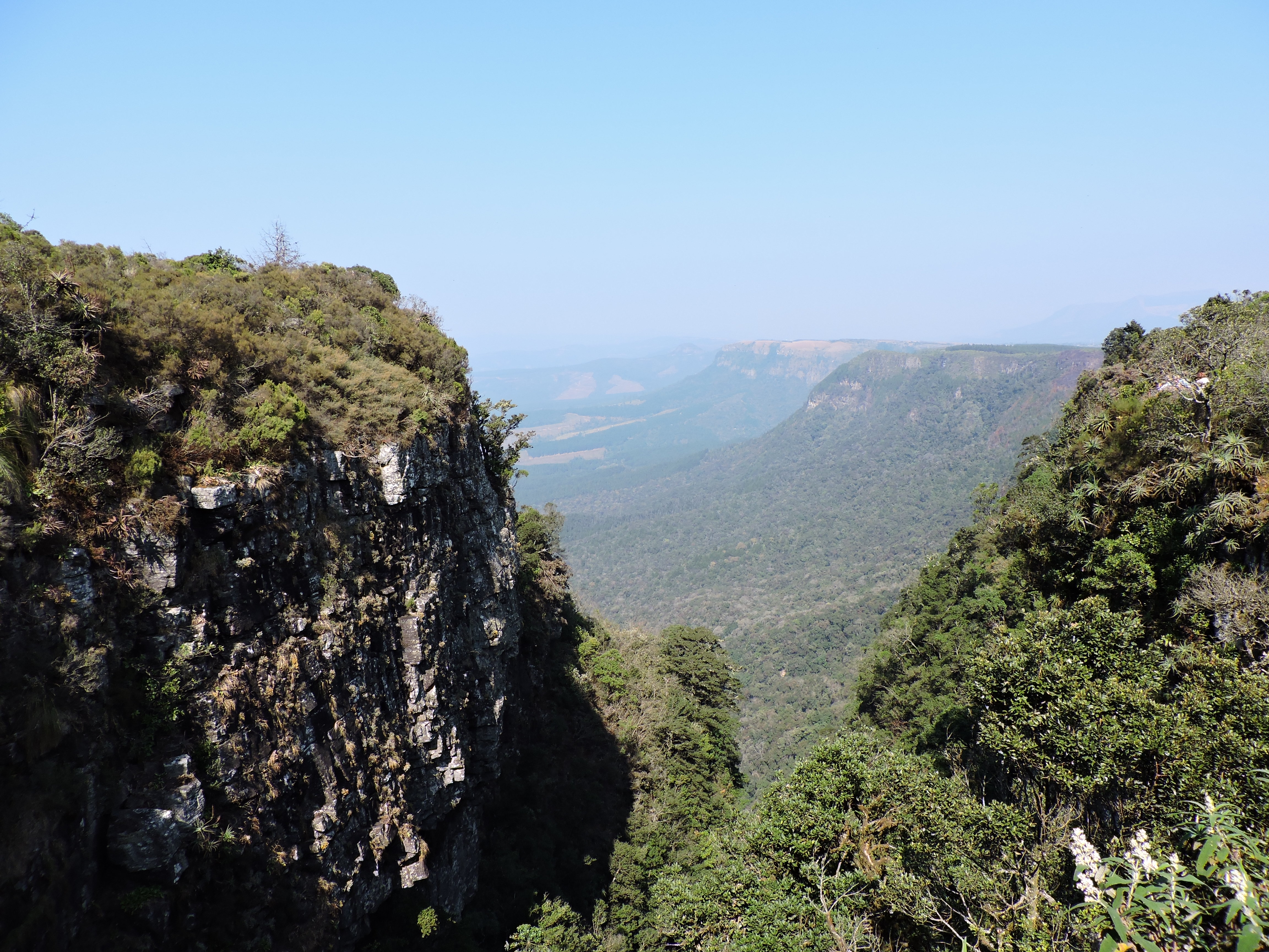 Zuid-Afrika blogpost