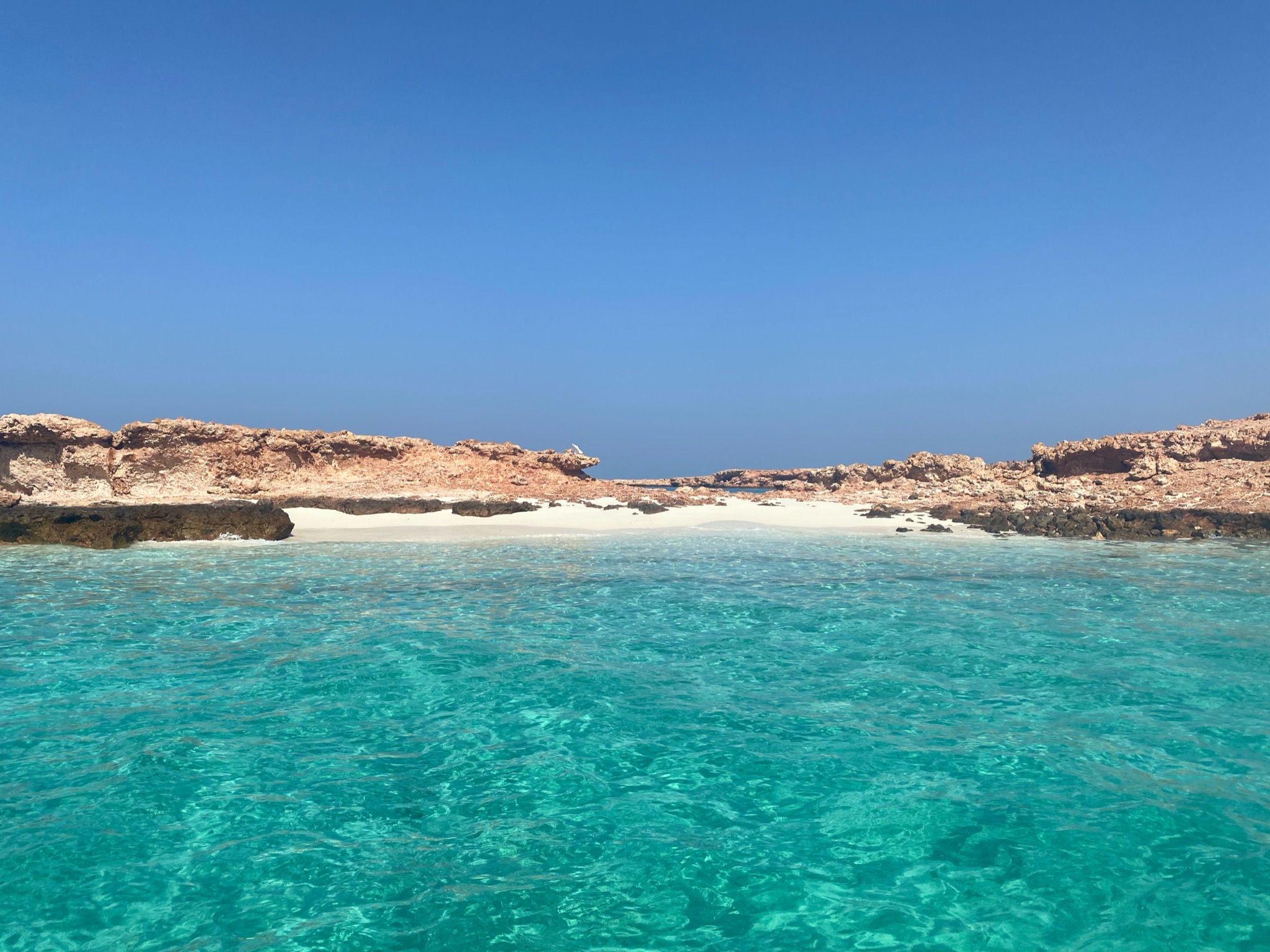 Snorkelen schildpadden Oman