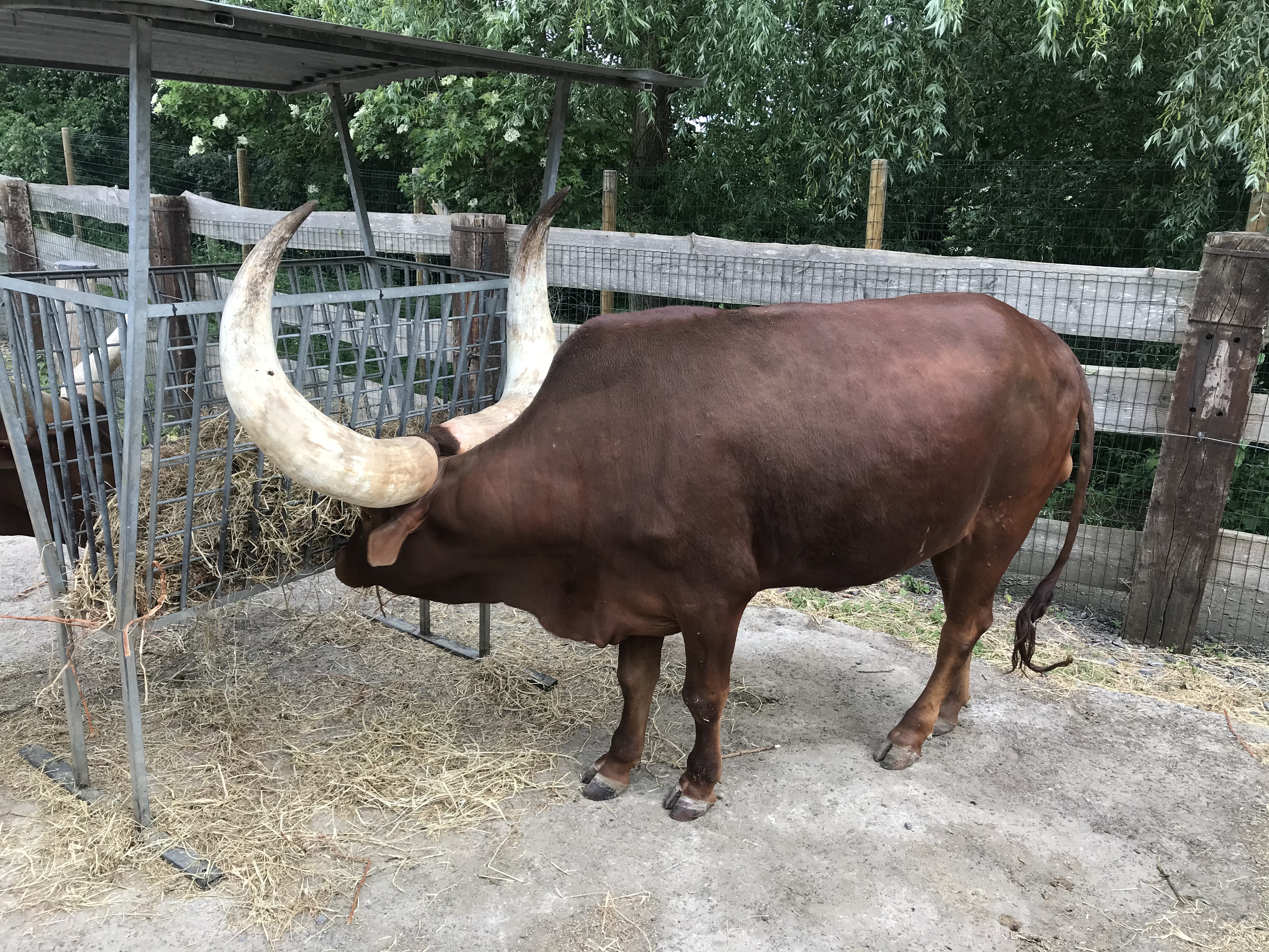 Pretparken voor peuters met dieren in West-Vlaanderen en Oost-Vlaanderen