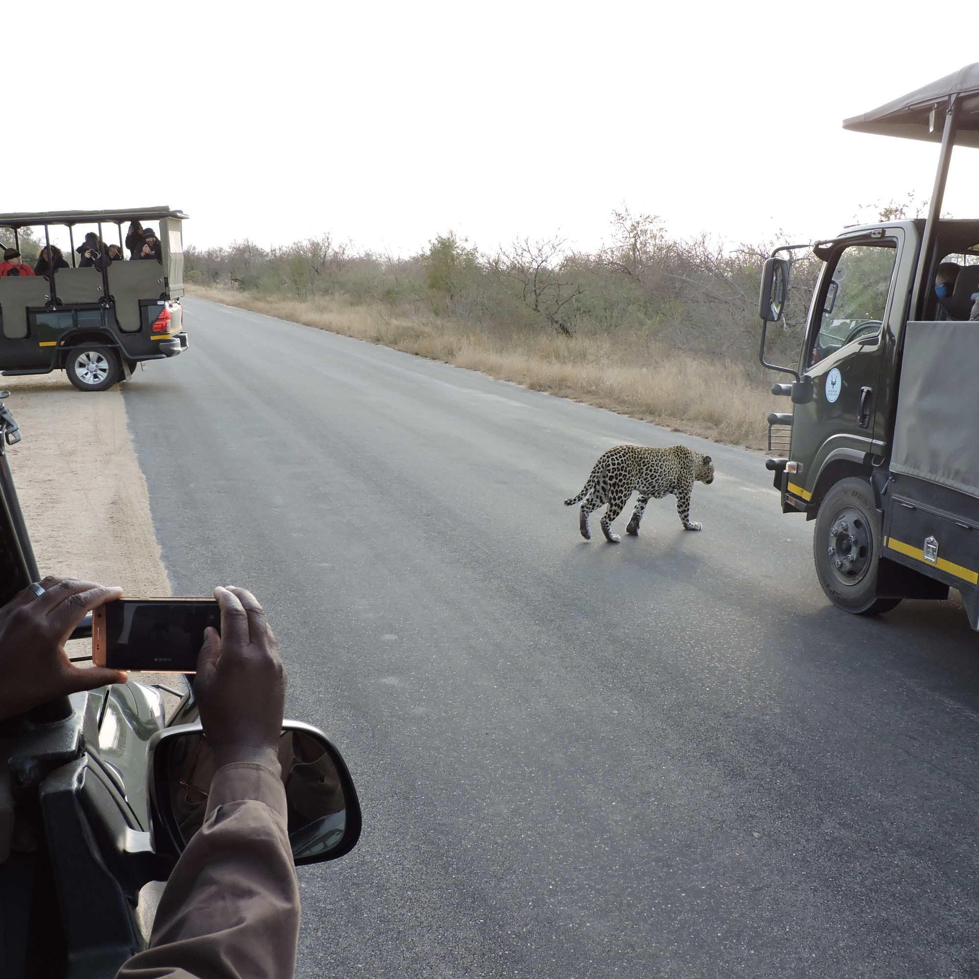 Zuid-Afrika Krugerpark safari blogpost