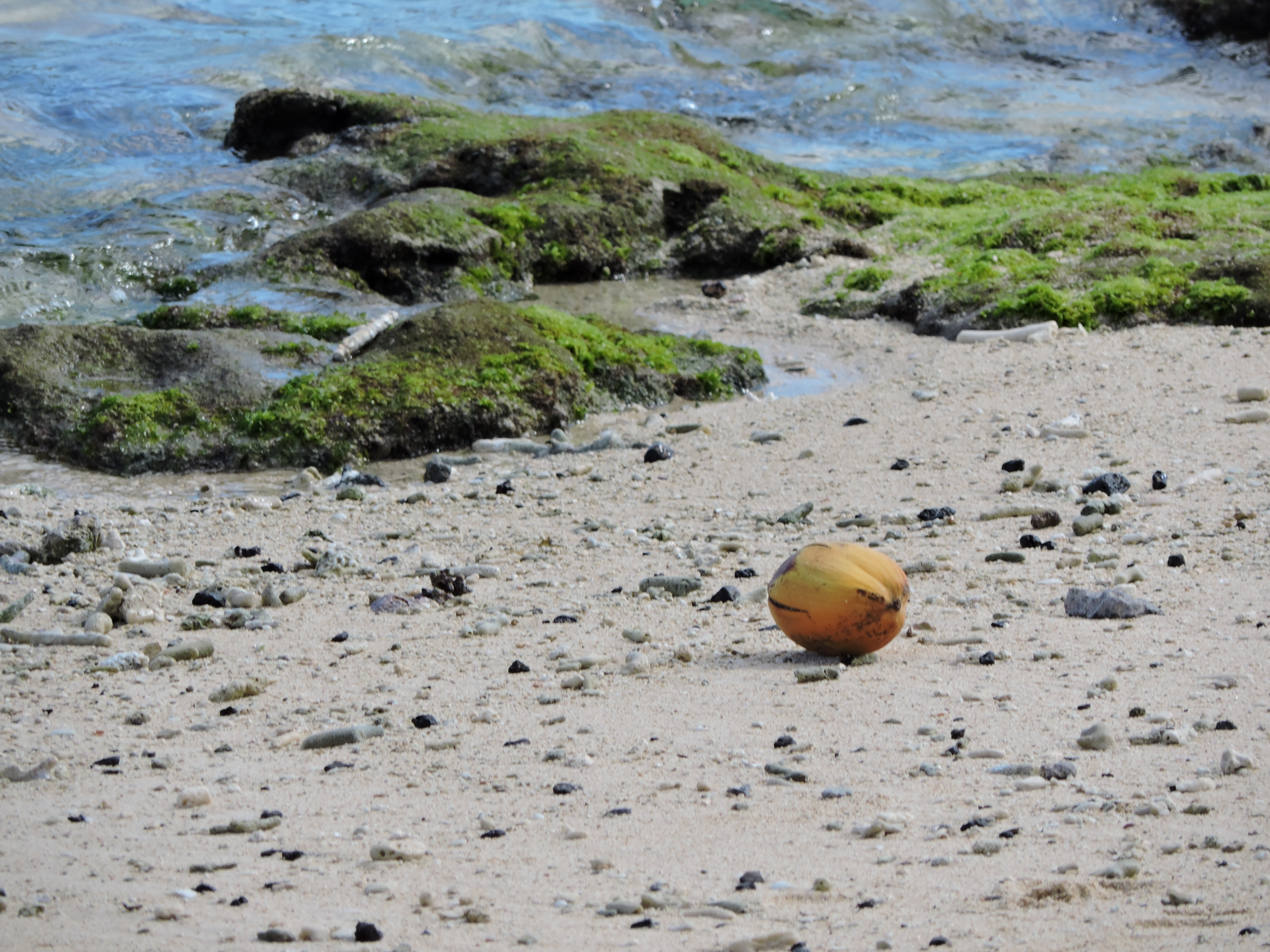 Mauritius Indische Oceaan