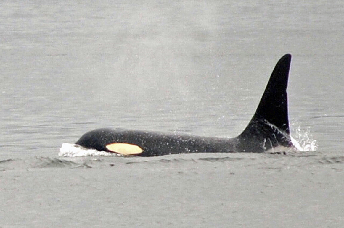 Canada rondreis langs Vancouver, Banff en Jasper blogpost