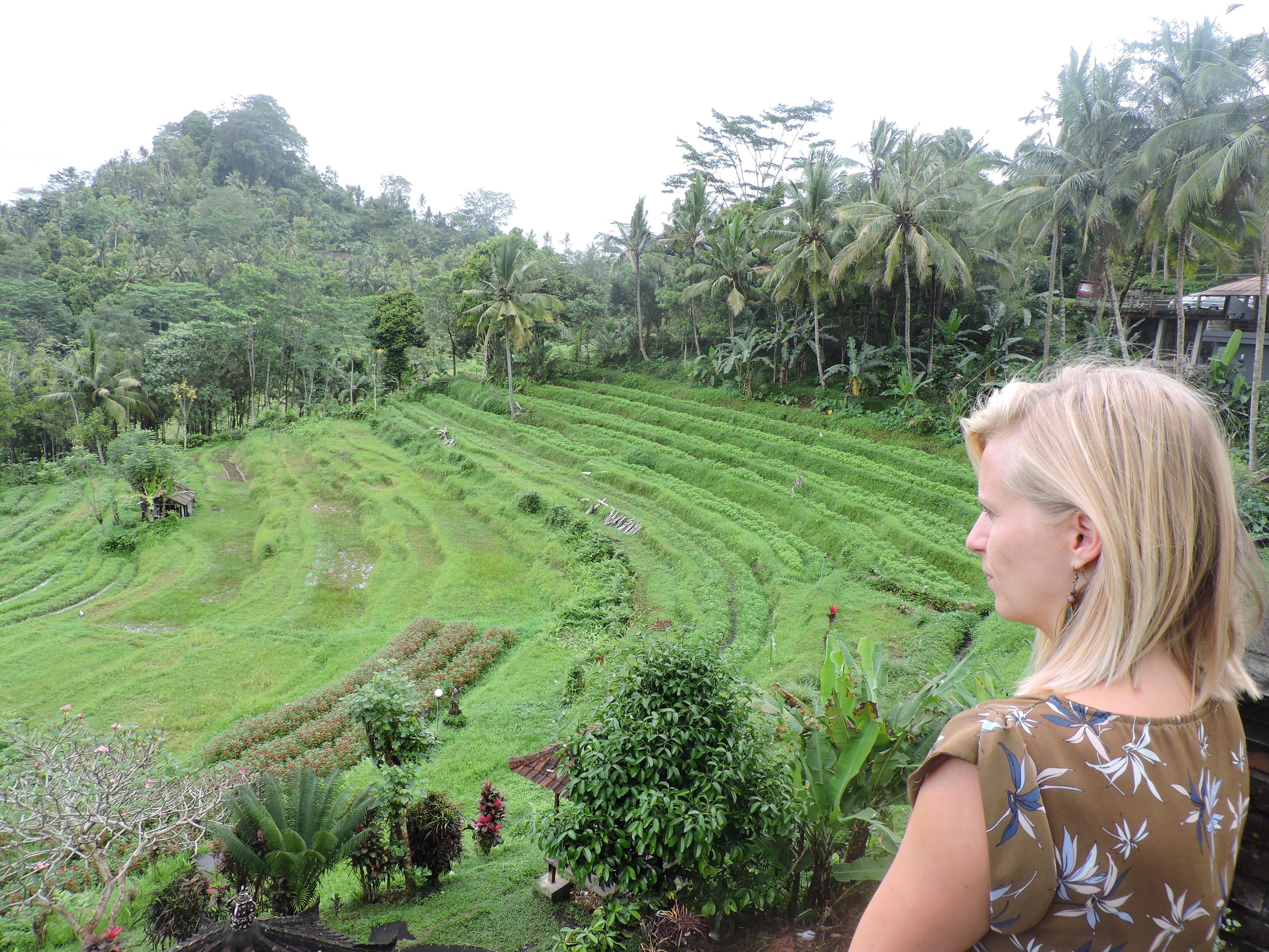 Rijstvelden in Bali