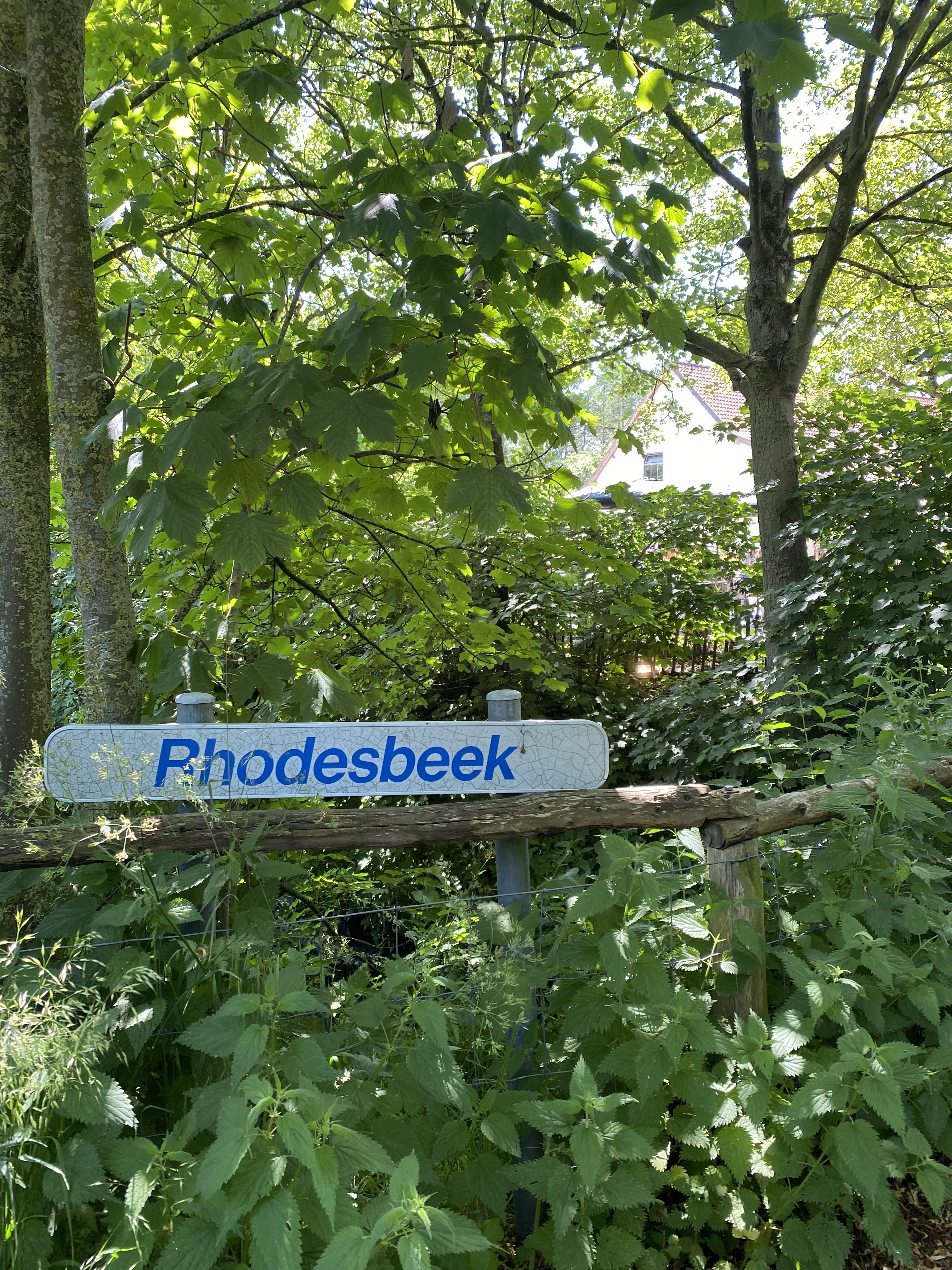 Rhodesbeek Kachtem zwemmen