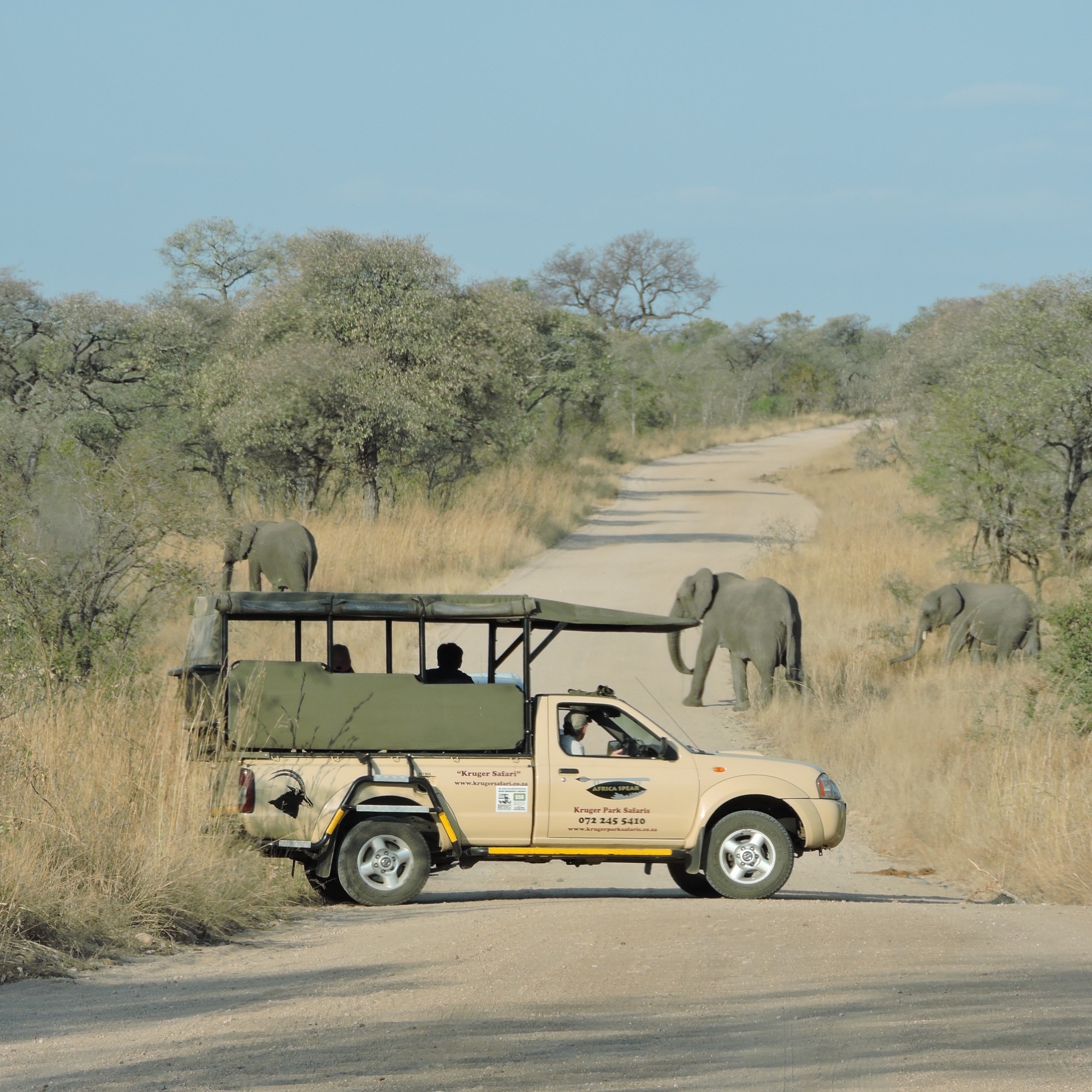 Zuid-Afrika Krugerpark safari blogpost