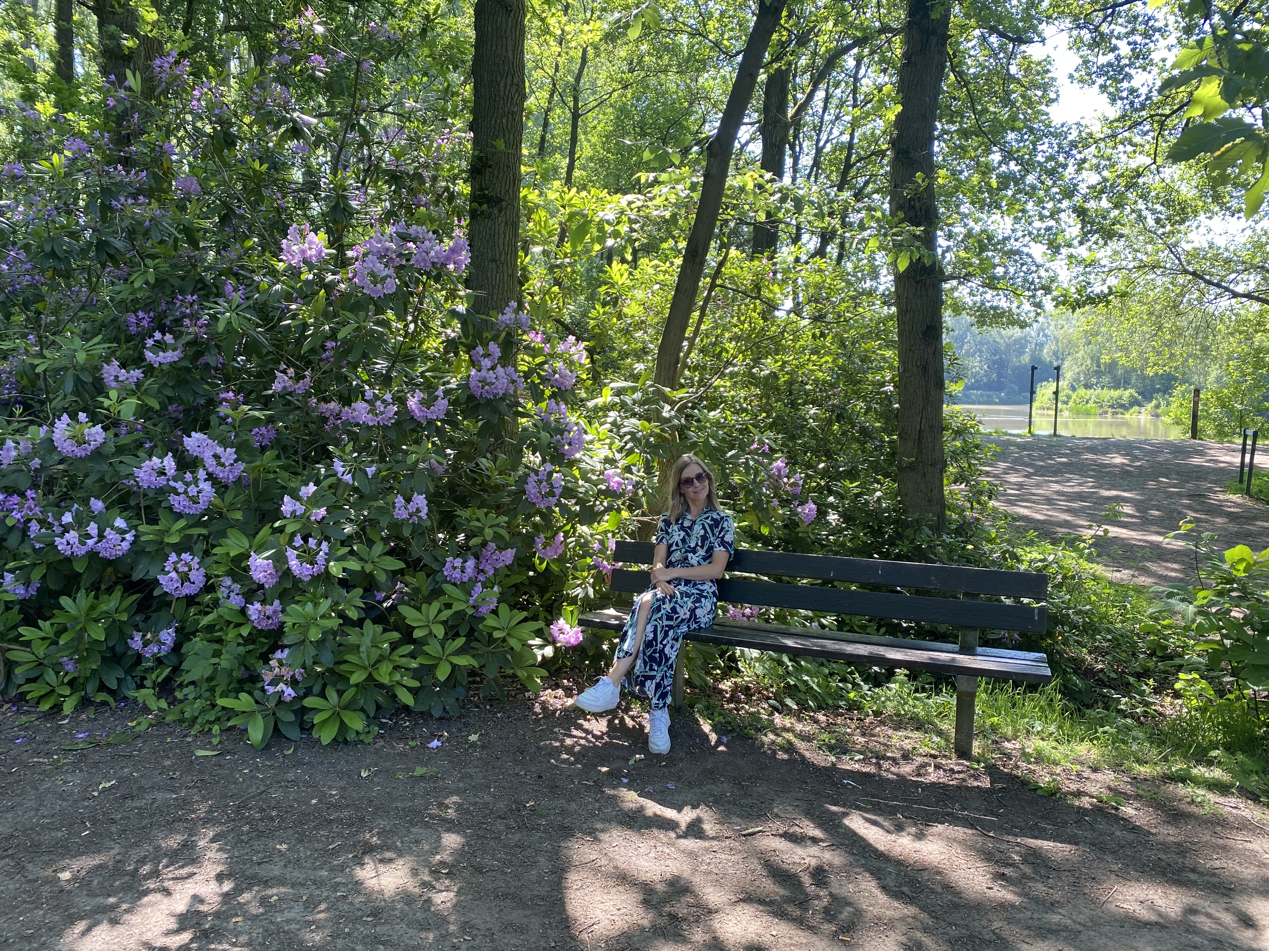 Veld Ardooie wandelen terras
