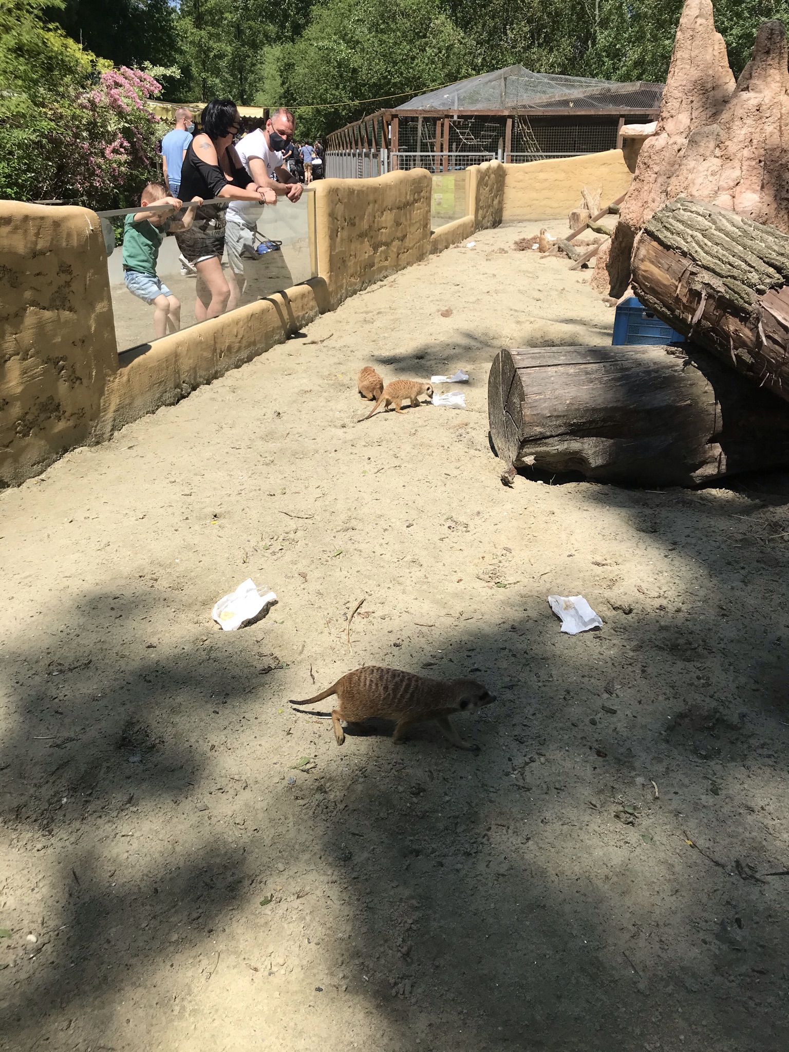 Speciale dieren West-Vlaanderen dierentuin