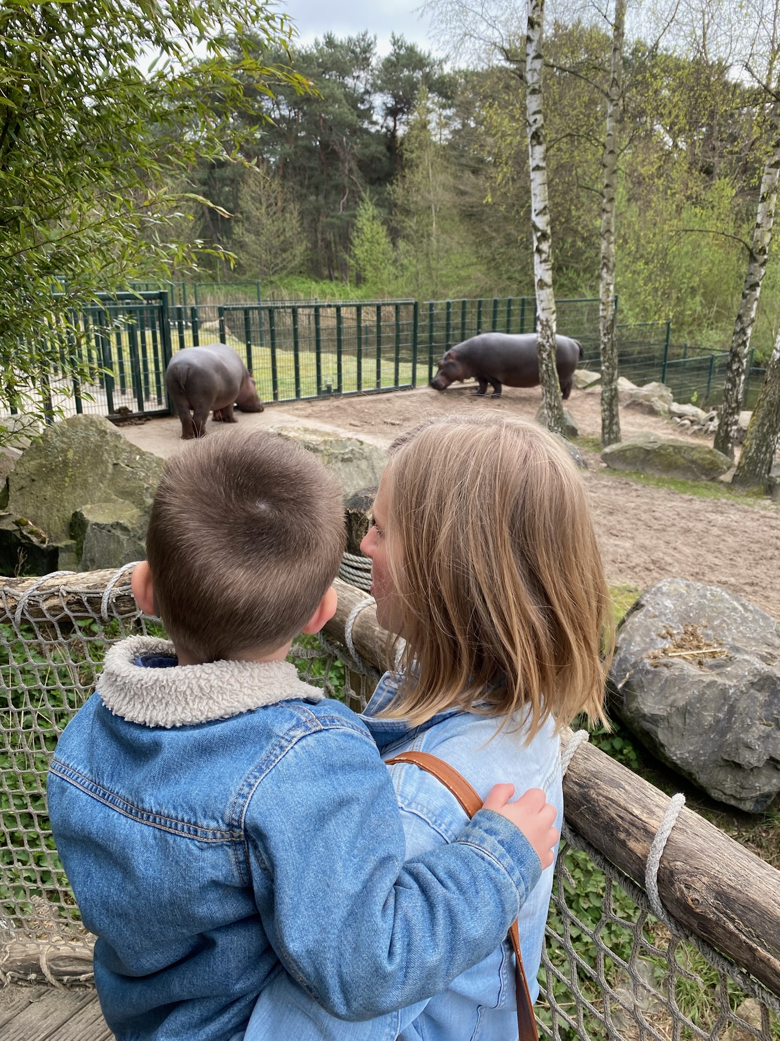 Beekse Bergen wat doen