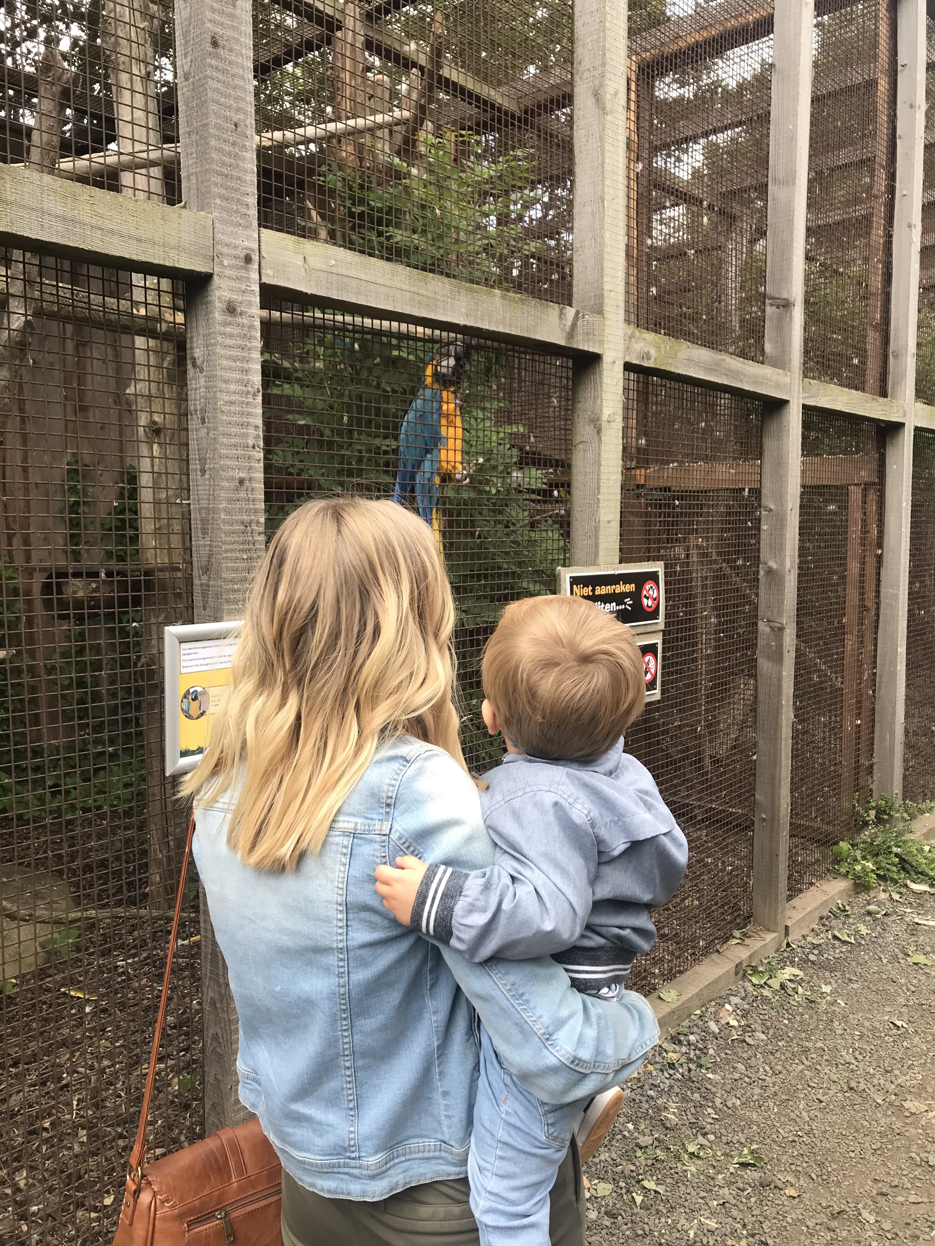 Zonnegloed sanctuary inheemse en uitheemse dieren