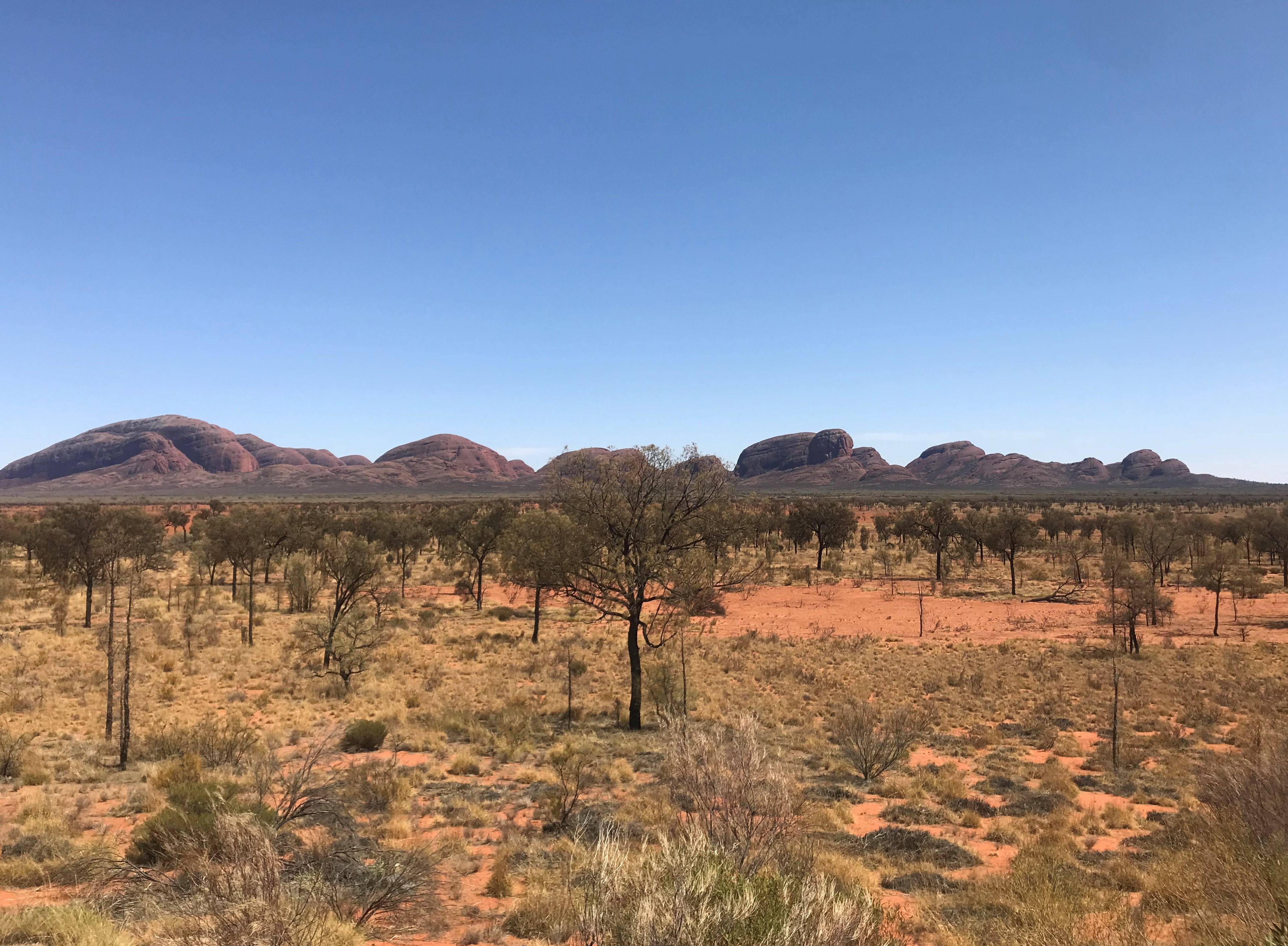 Australië rondreis outback Uluru