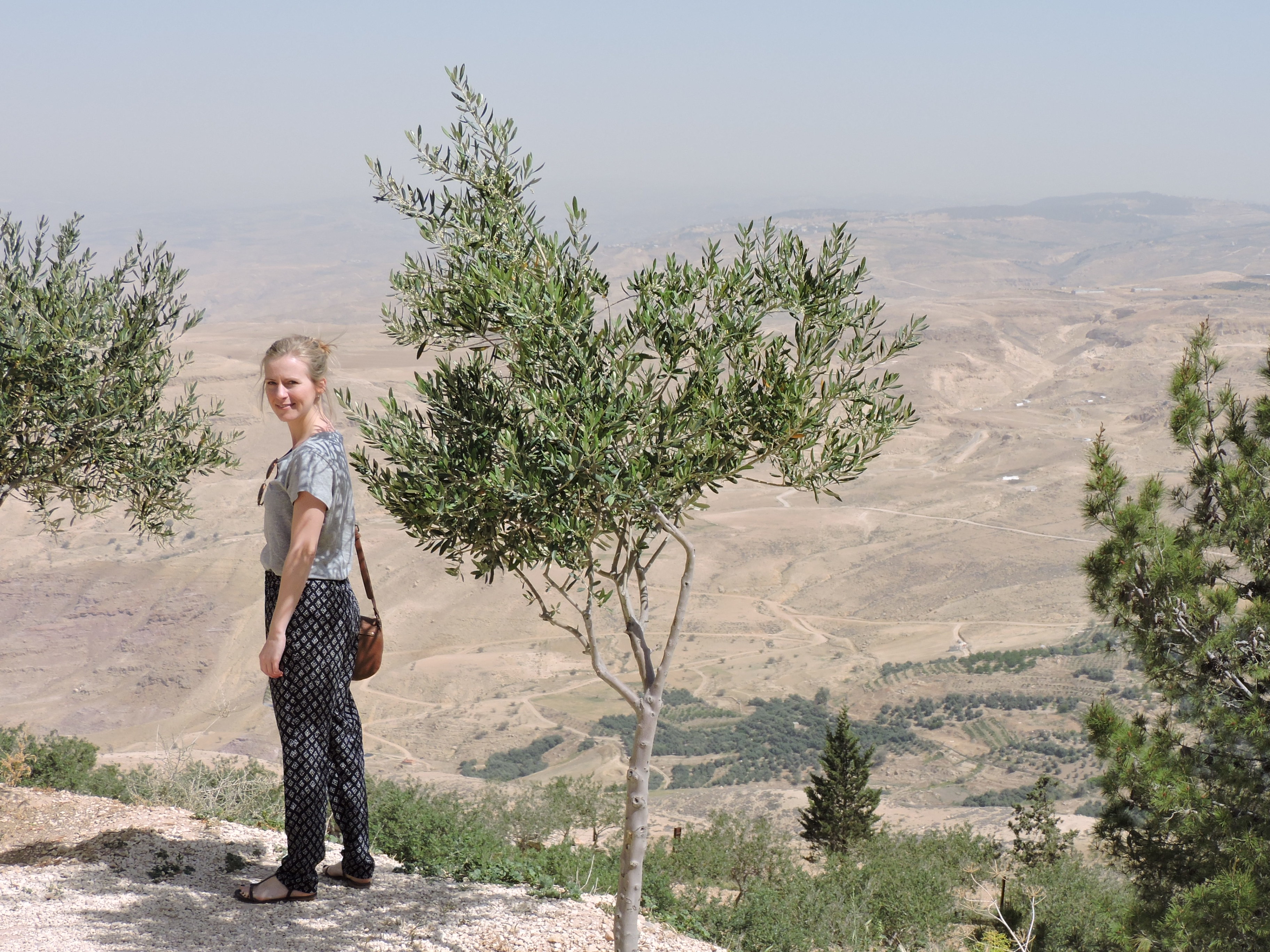 Op Mount Nebo in Jordanië uitzicht over de Jordaanvallei