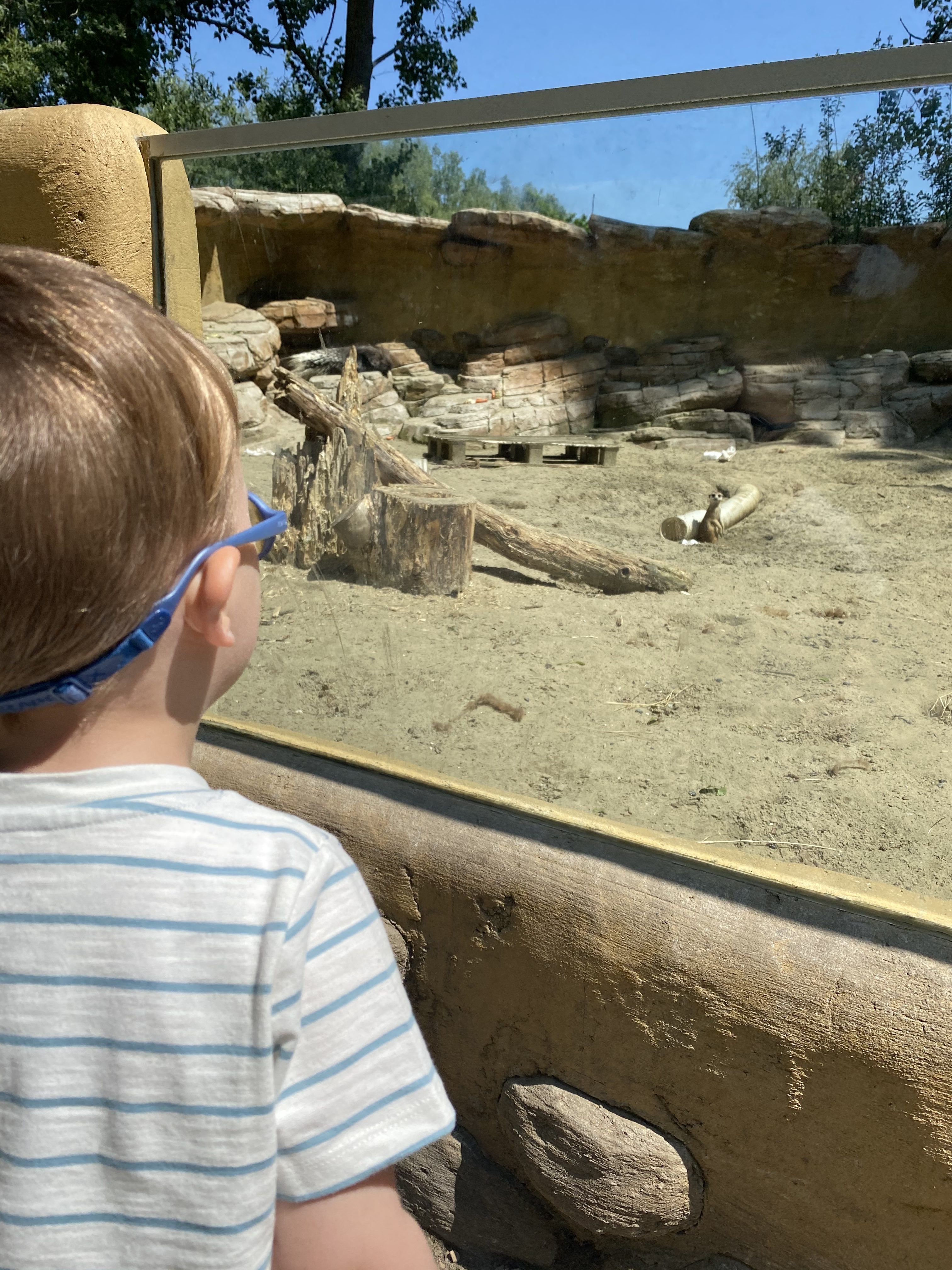 Dierenpark Harry Malter voor peuters n in West-Vlaanderen en Oost-Vlaanderen