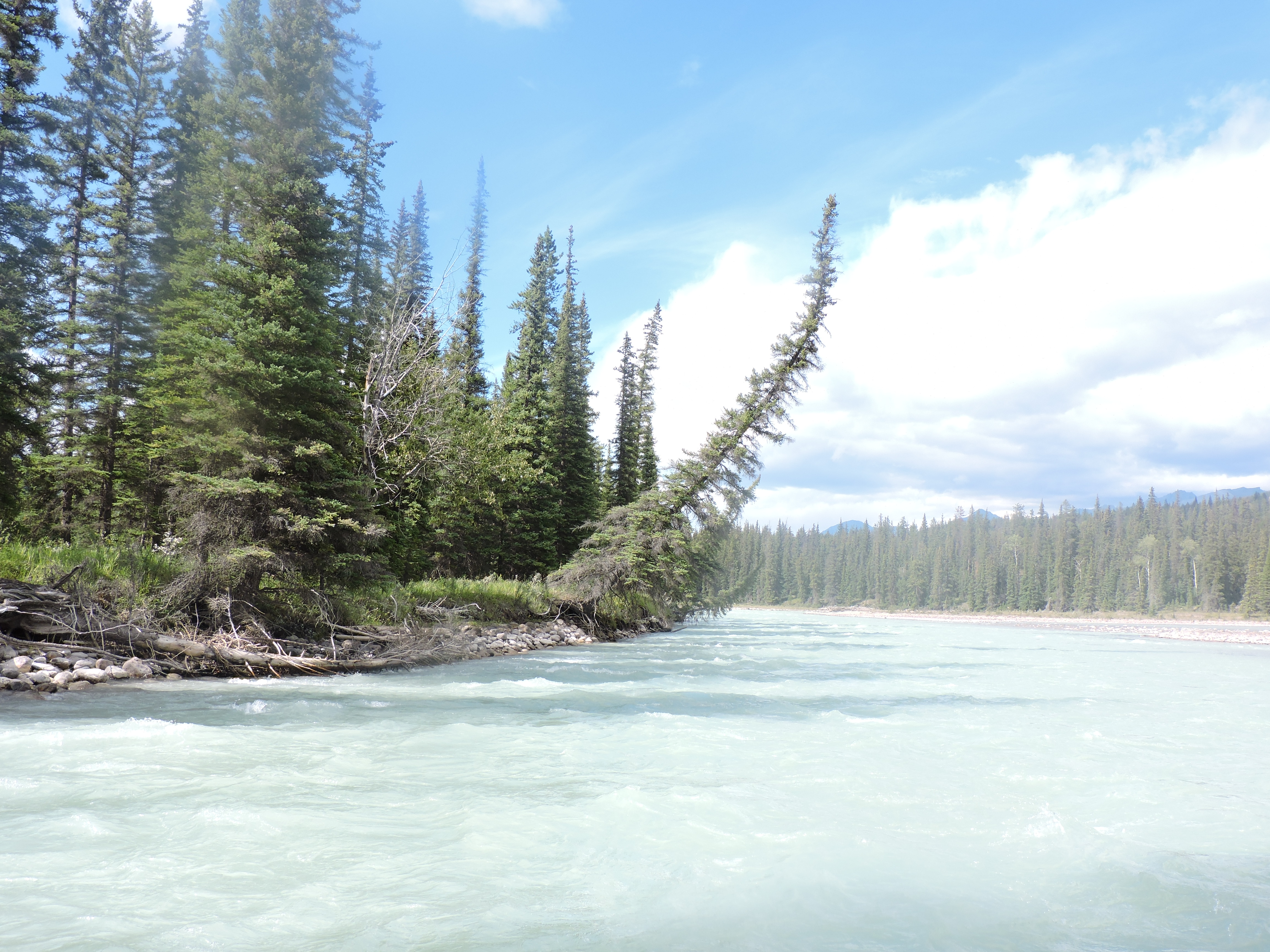 Canada rondreis langs Vancouver, Banff en Jasper Athabasca blogpost