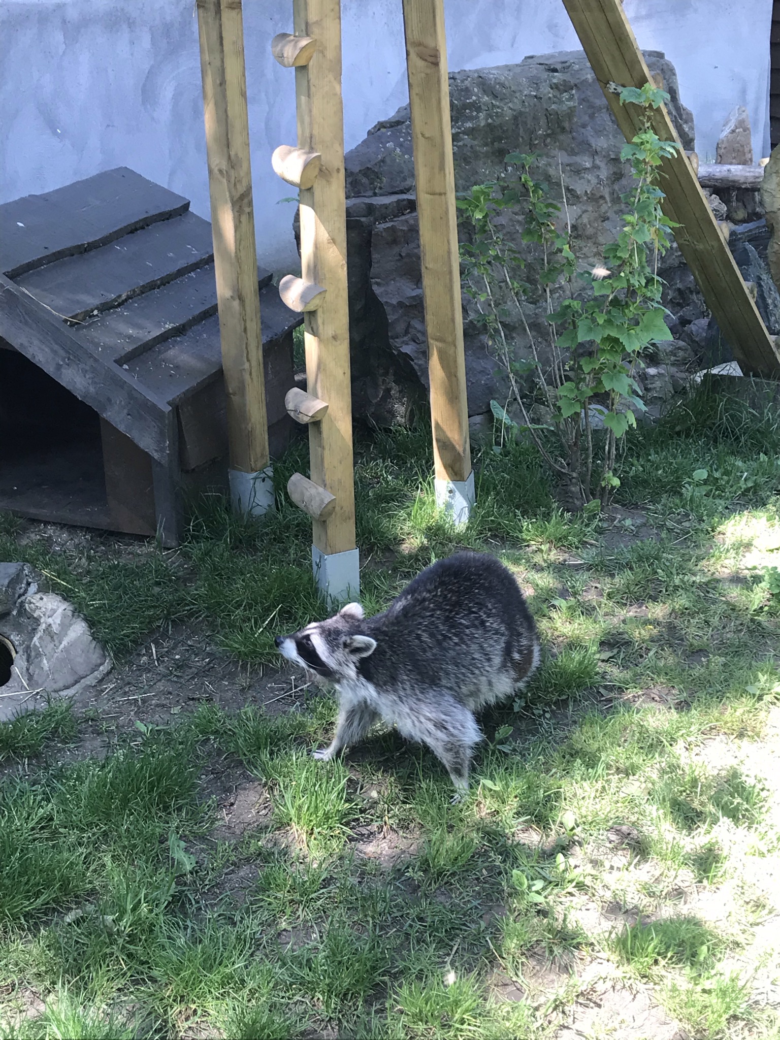 Dagje uit met kinderen in Oost-Vlaanderen