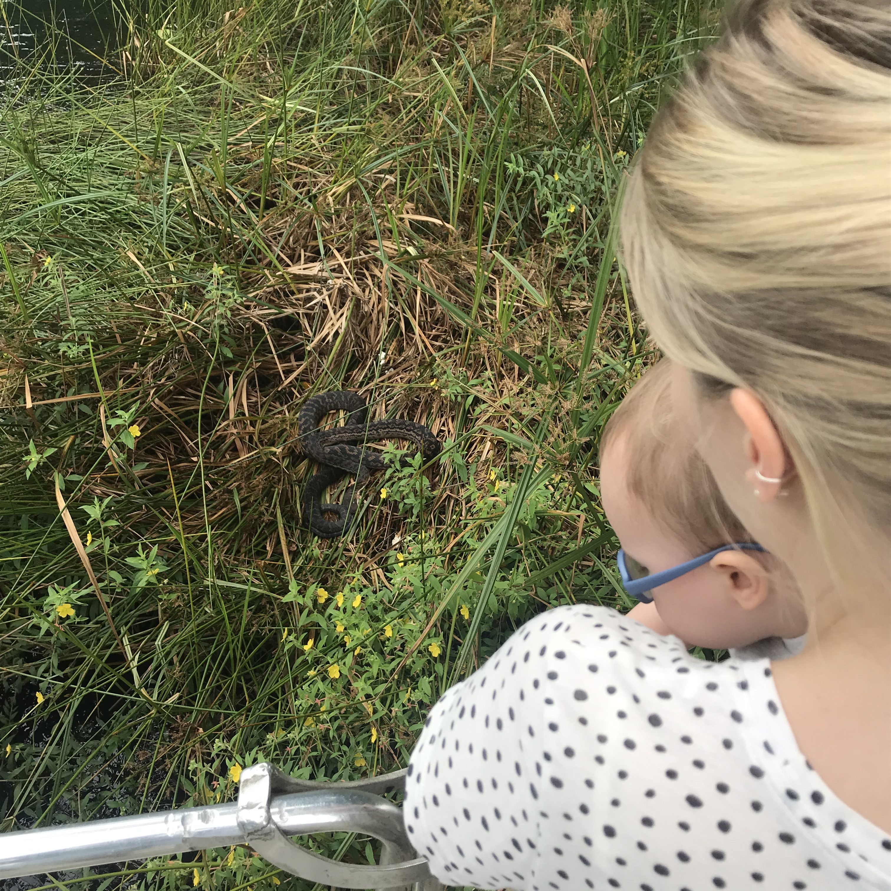 Rondreis Australië baby Queensland