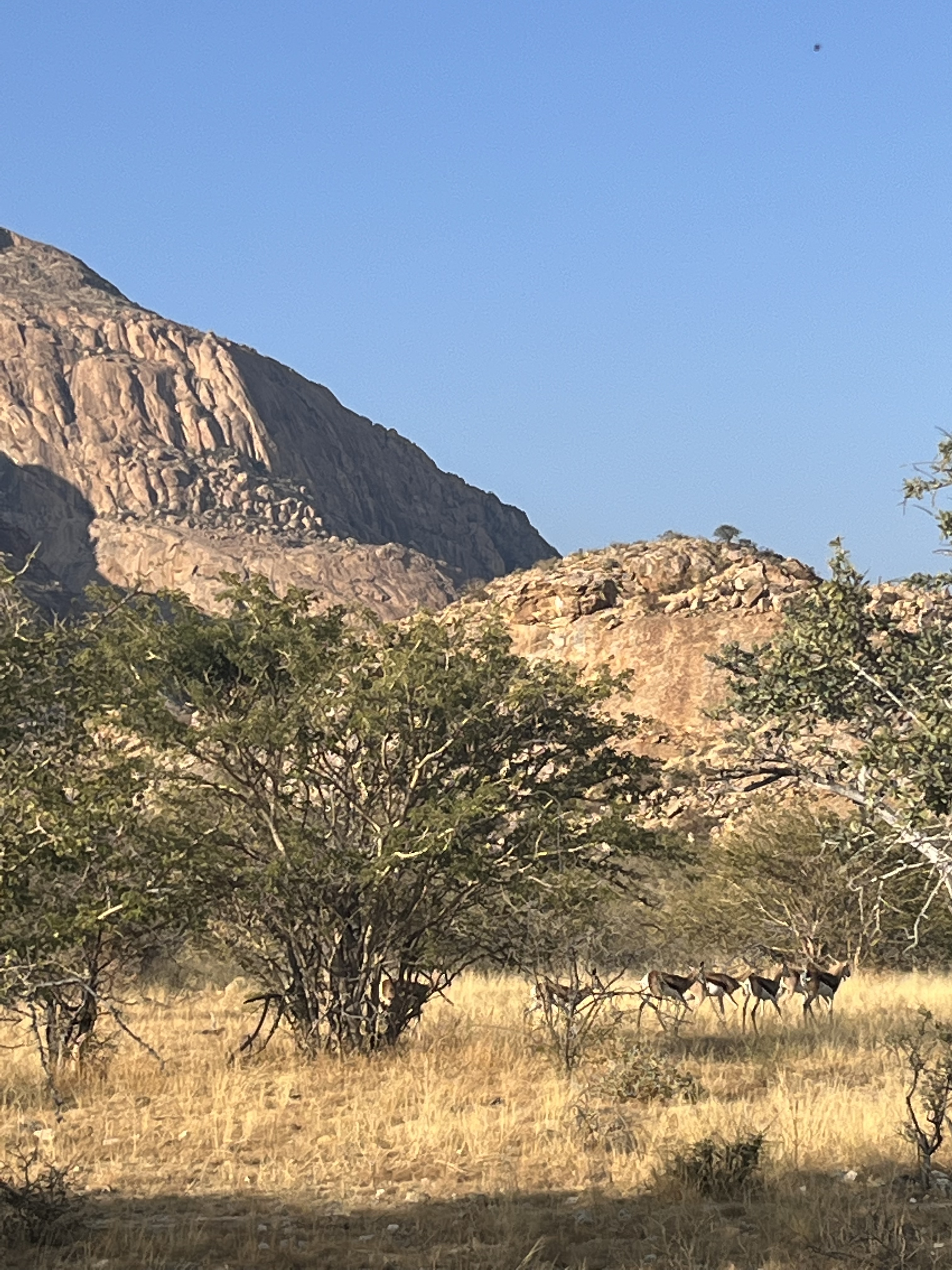 Namibië waar slapen in Erongo