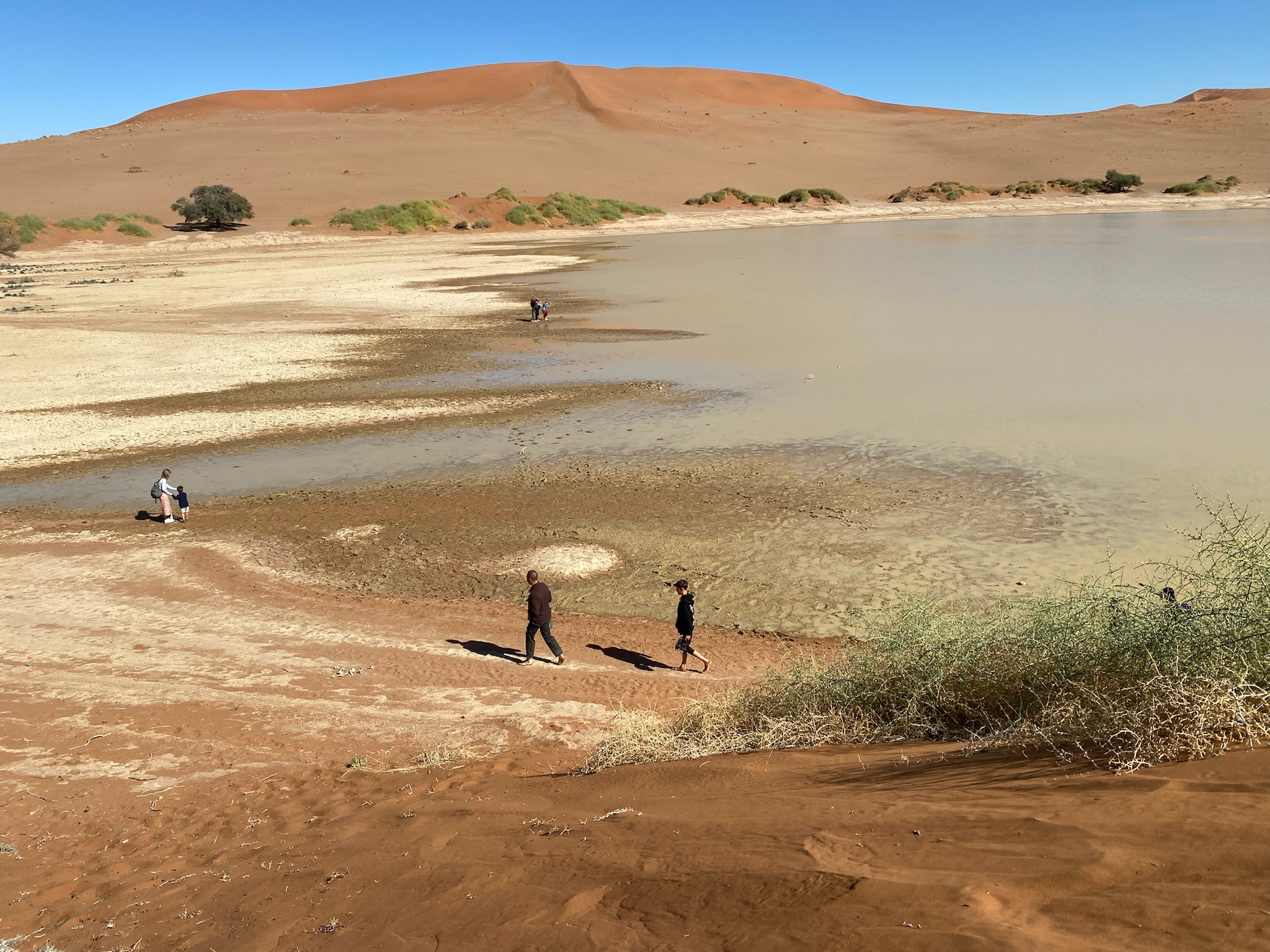 Sossusvlei water filled with