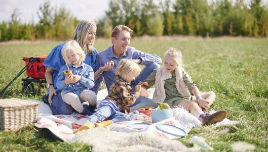 Picknickmand bestellen Roeselare