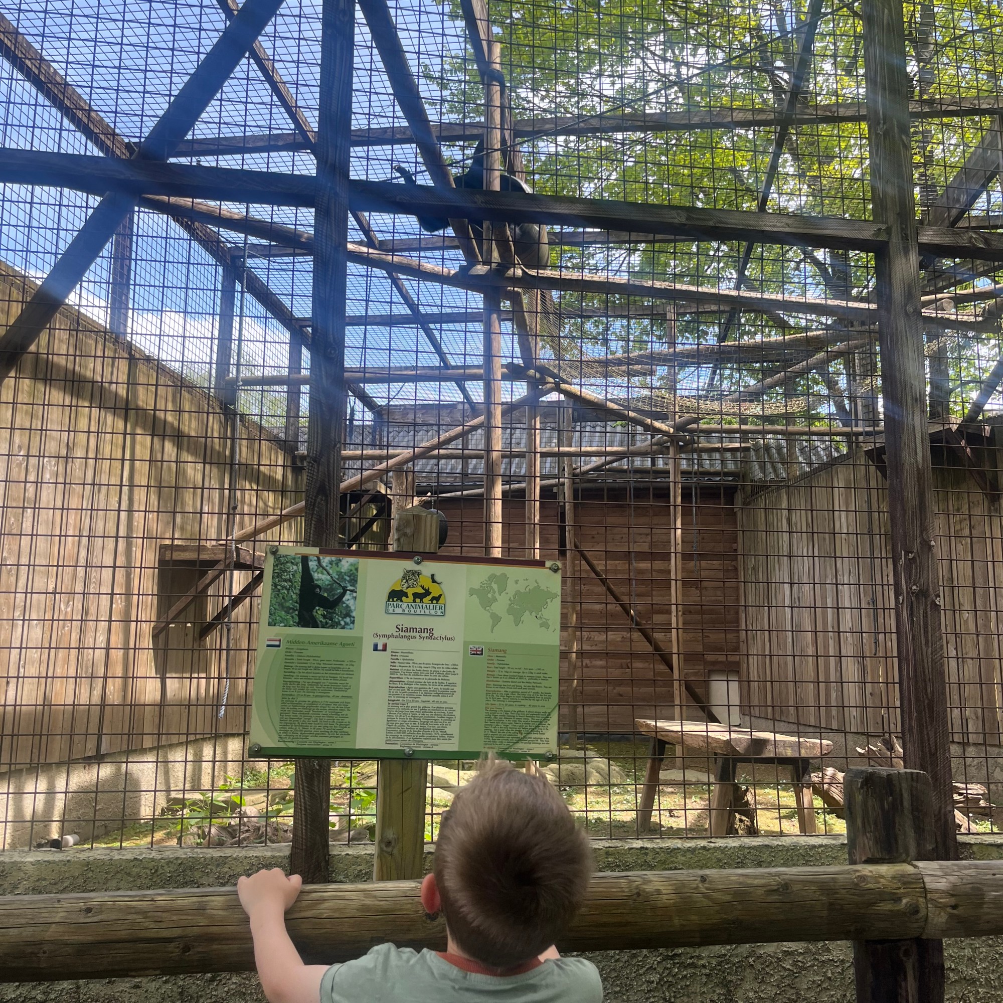 Dierentuinen wallonië ardennen