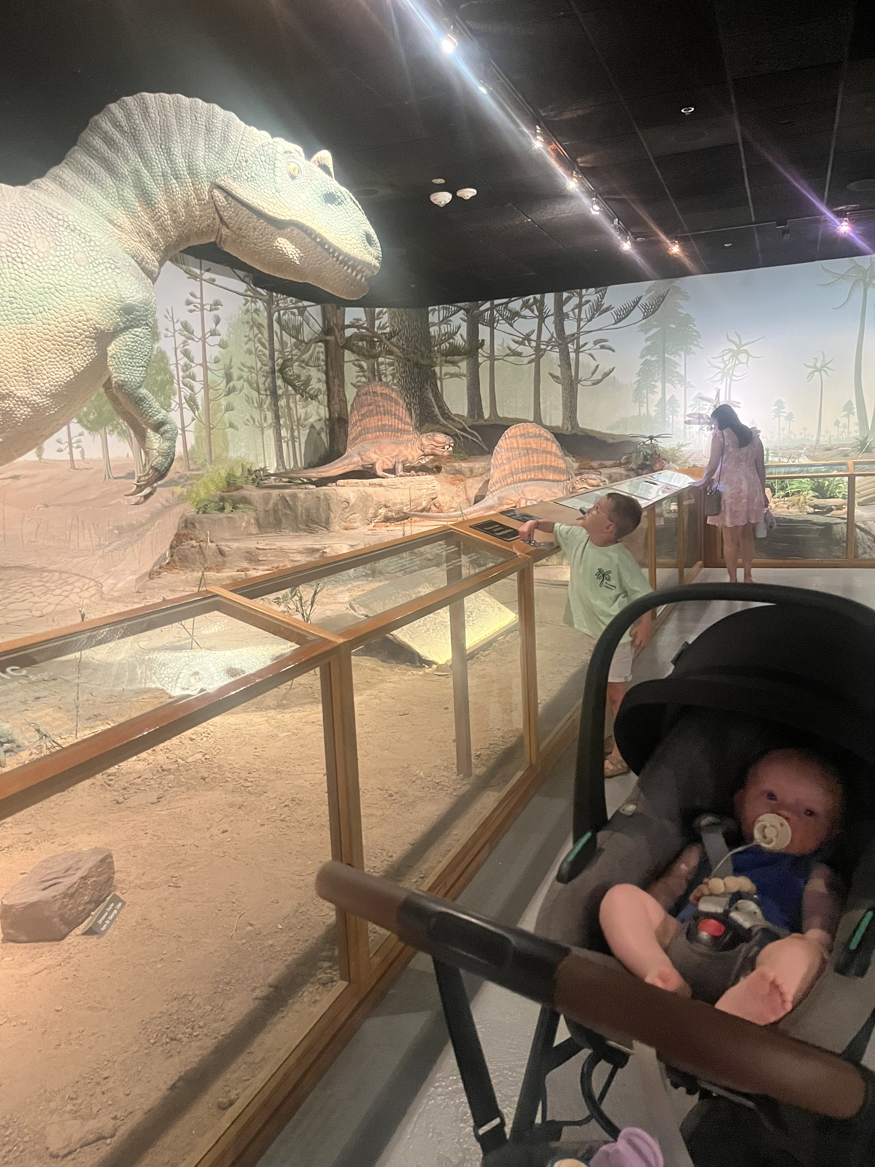 Las Vegas museum natuurhistorisch