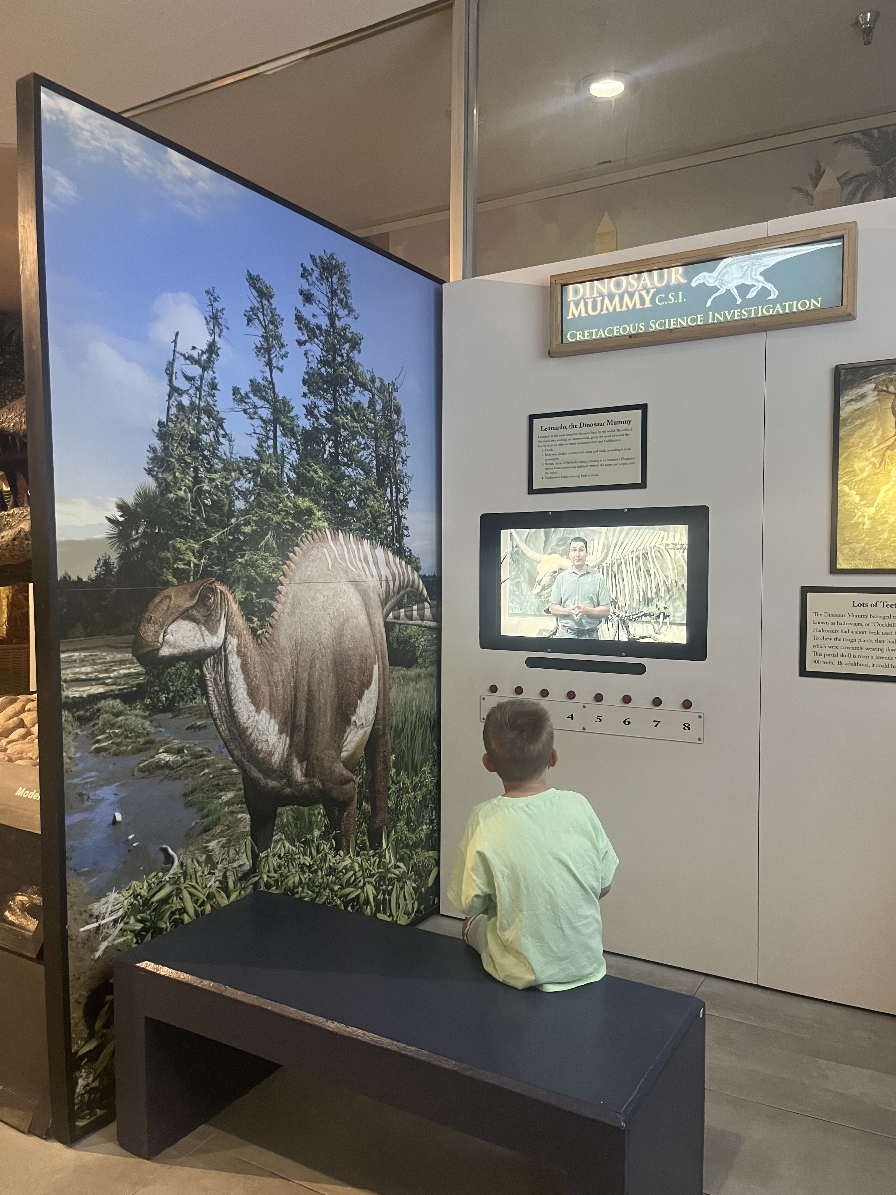 Las Vegas kinderen wat doen museum dino's