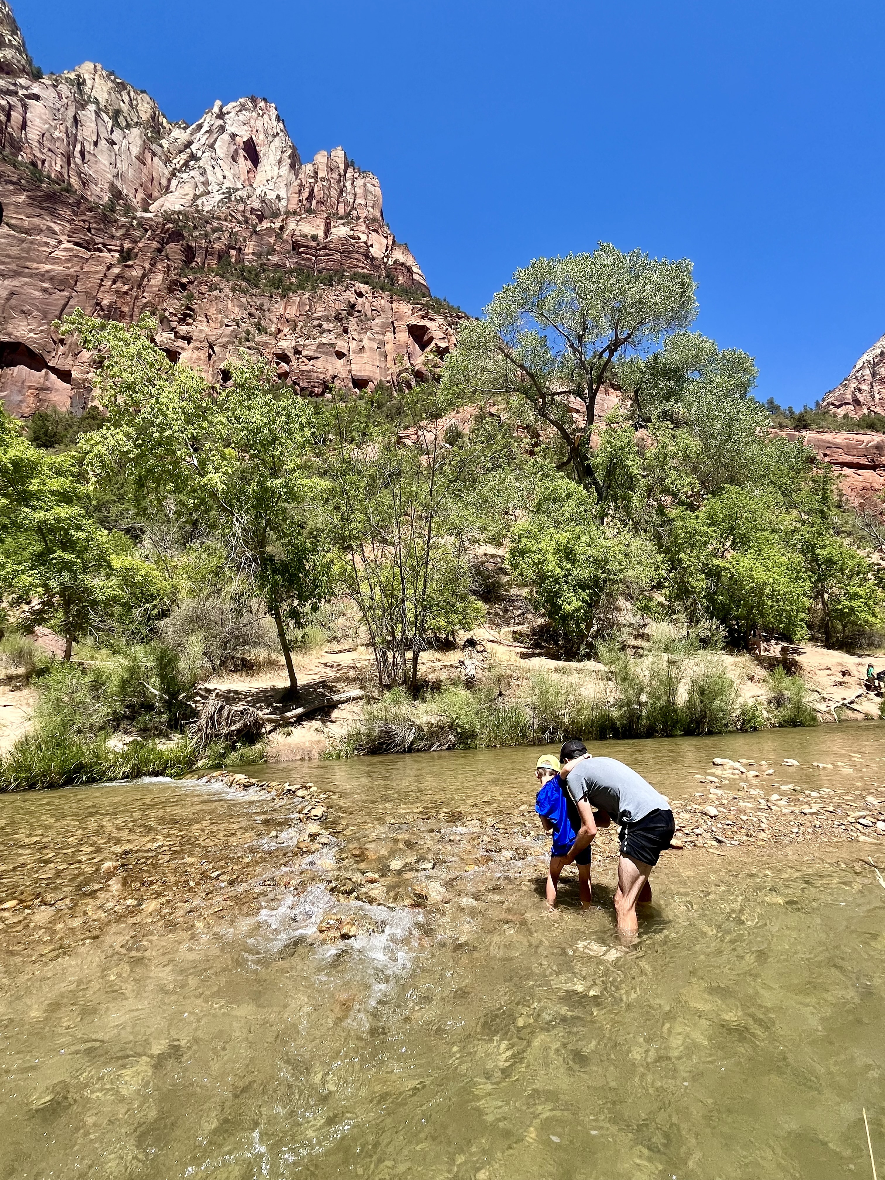 Rondreis us met kinderen huurauto westkust