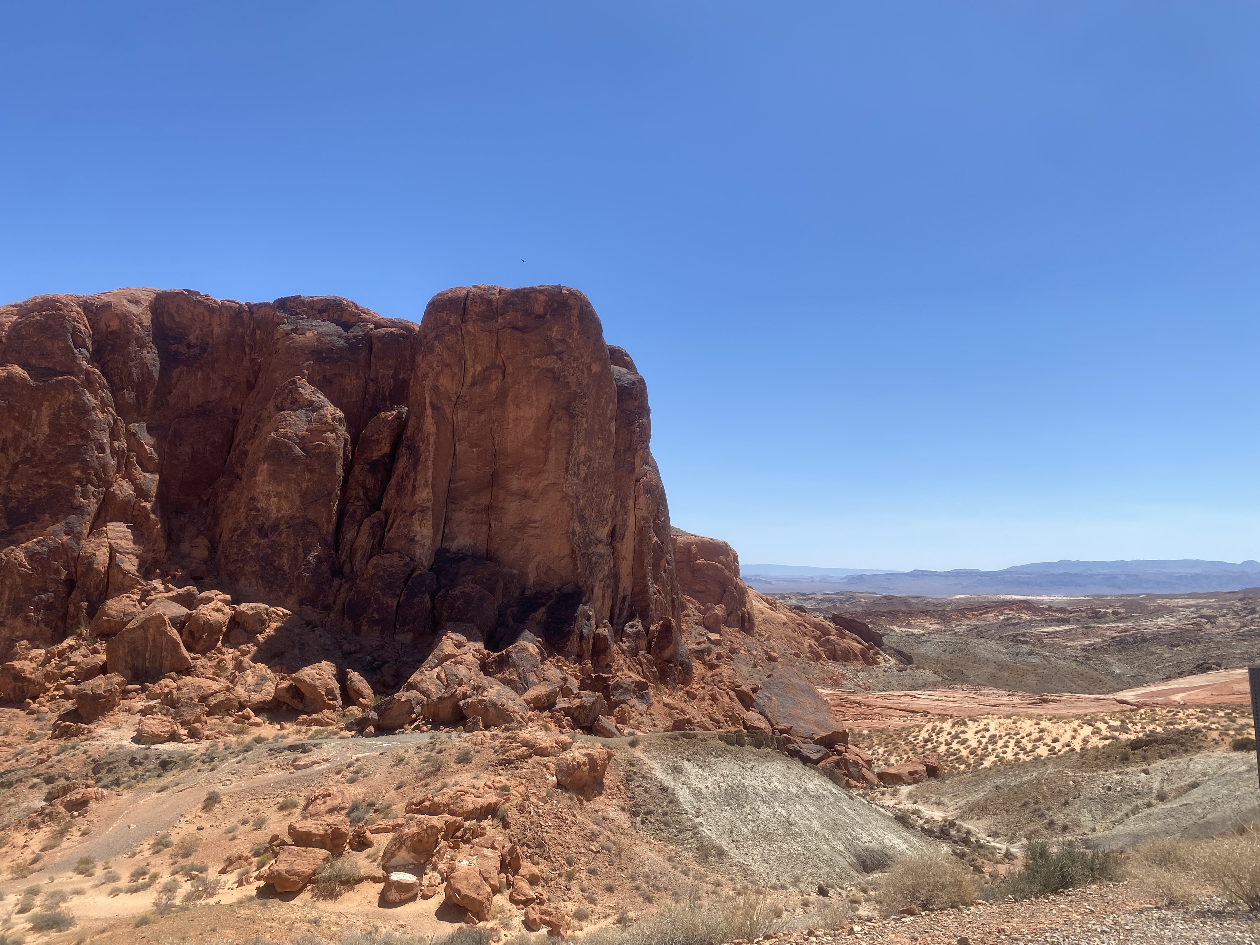 Rondreis amerika met kinderen