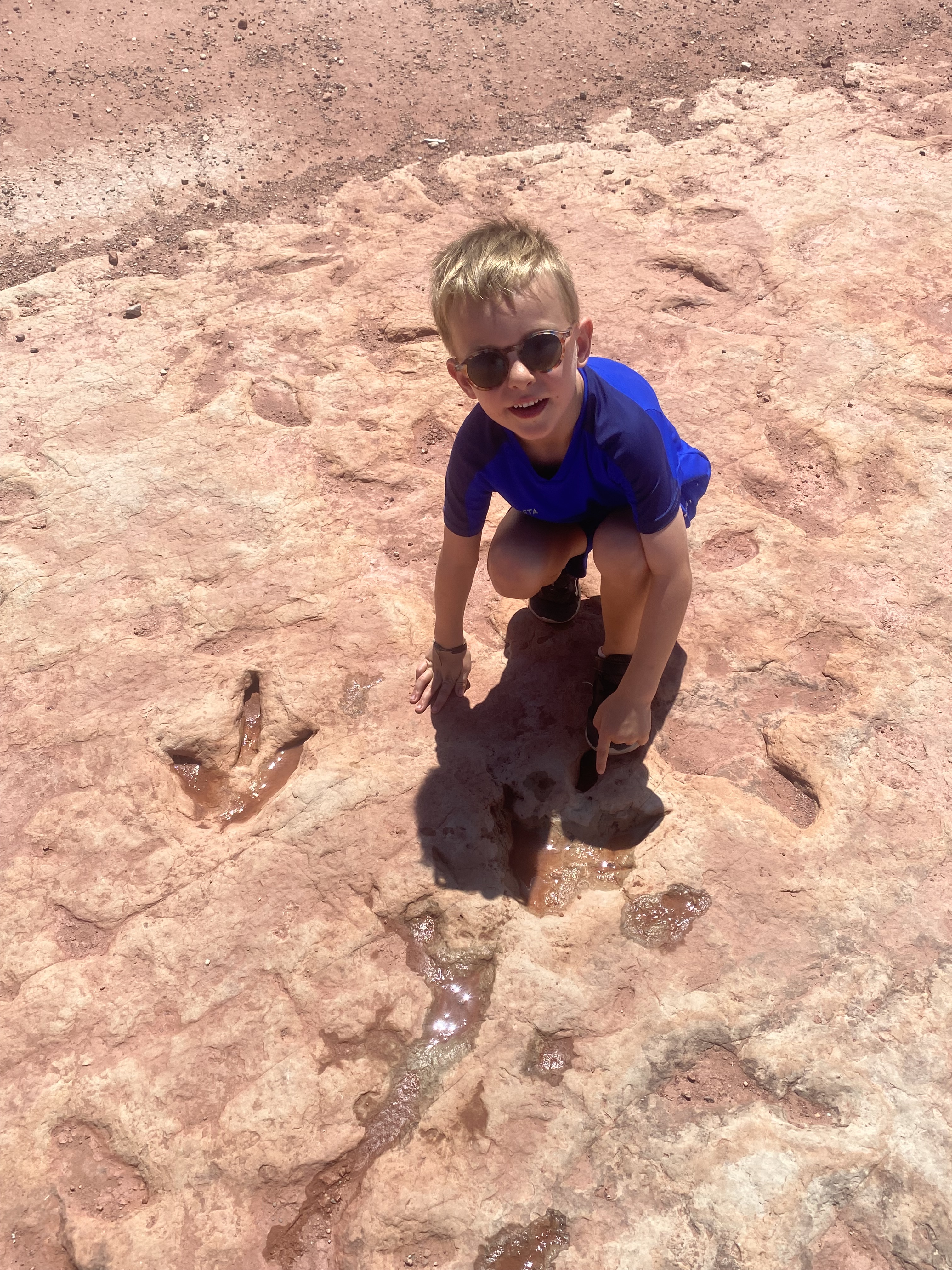 Tuba City dinosporen Arizona